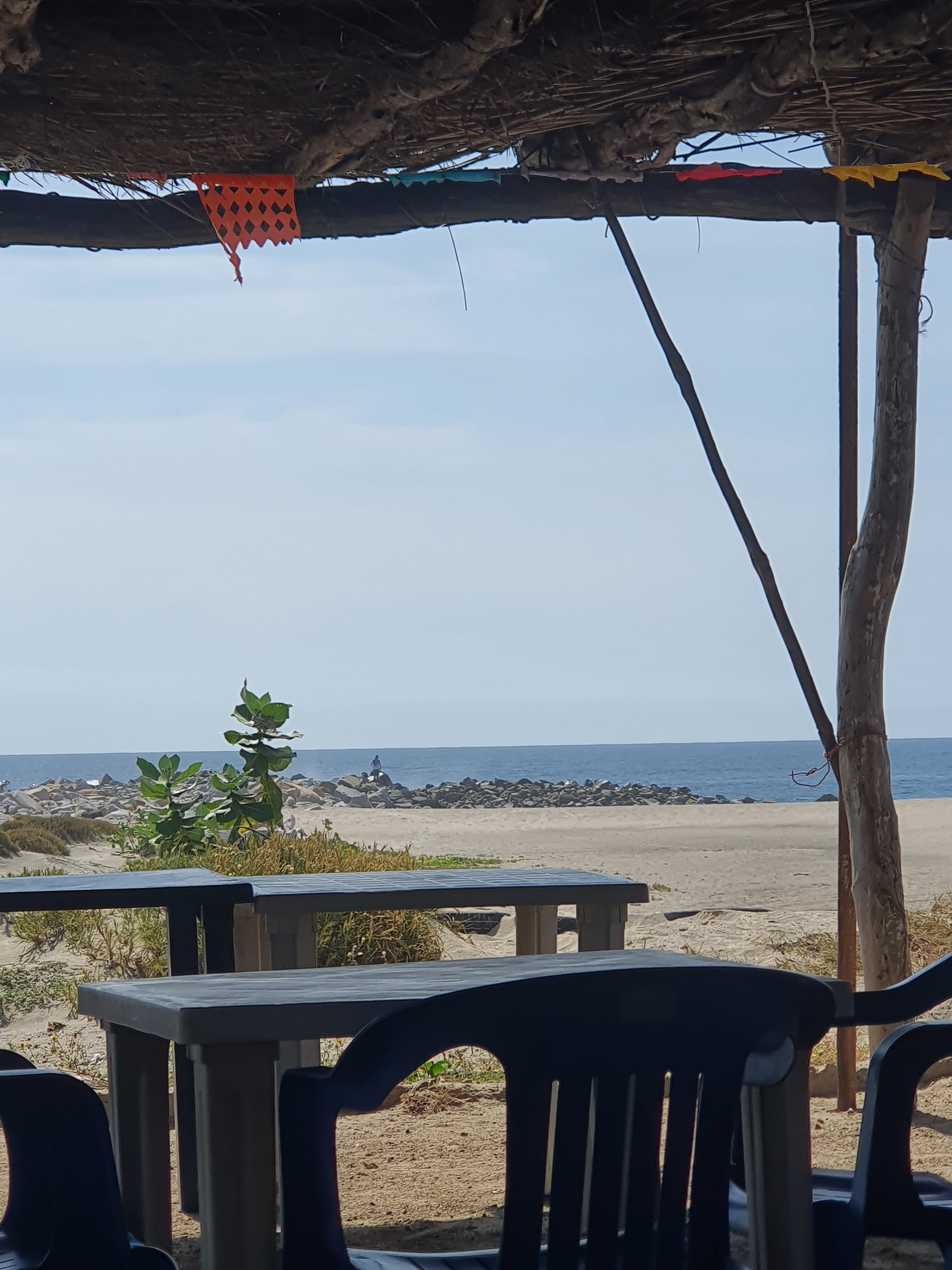 Blue Rock Restaurant & Surf Camp image 9