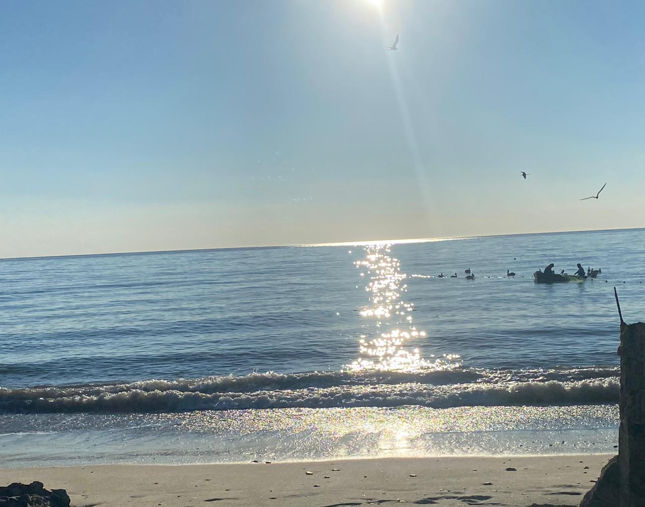 Restaurant La Perla 1 image 8