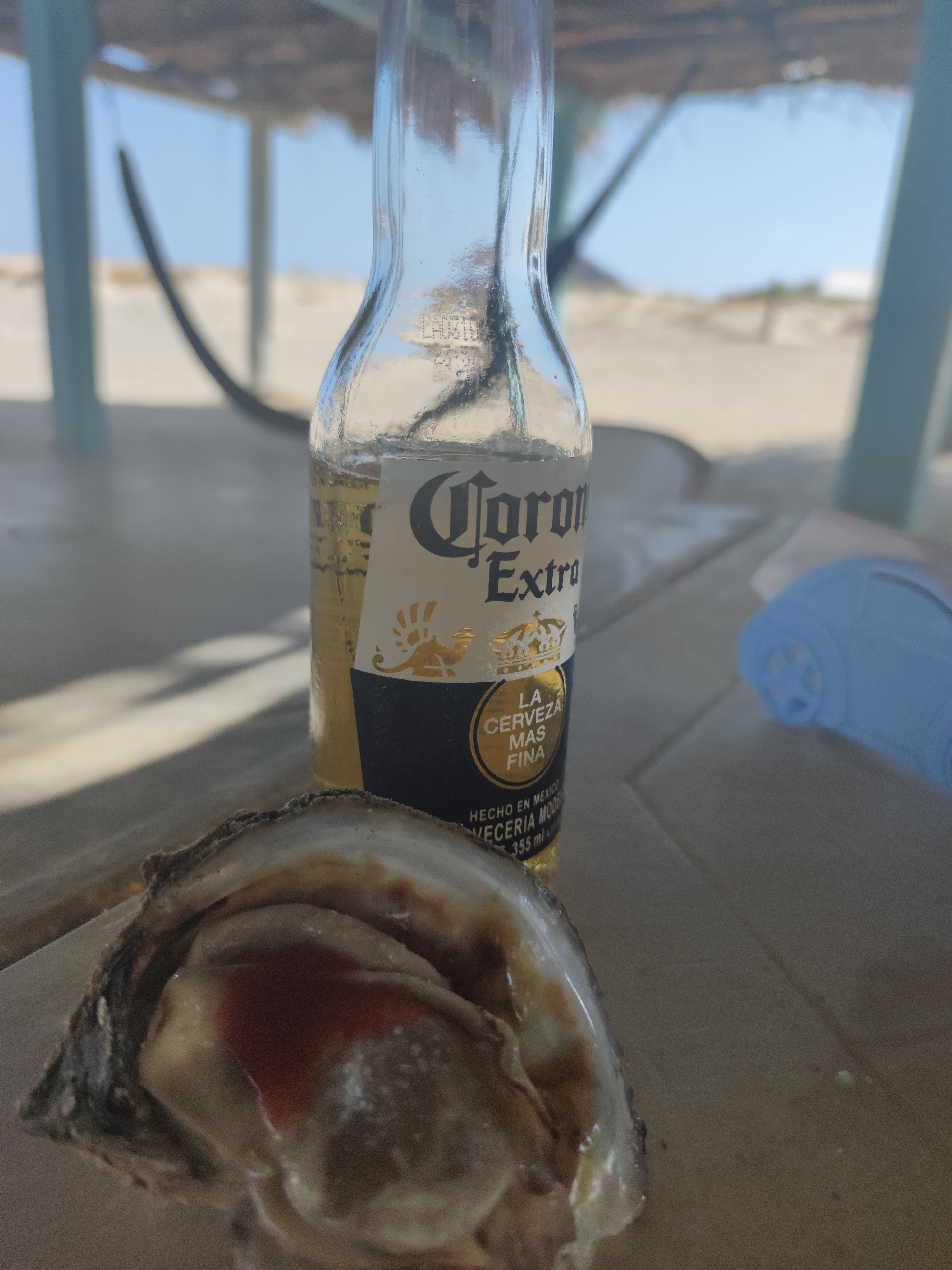 Restaurante Perla Coral image 5