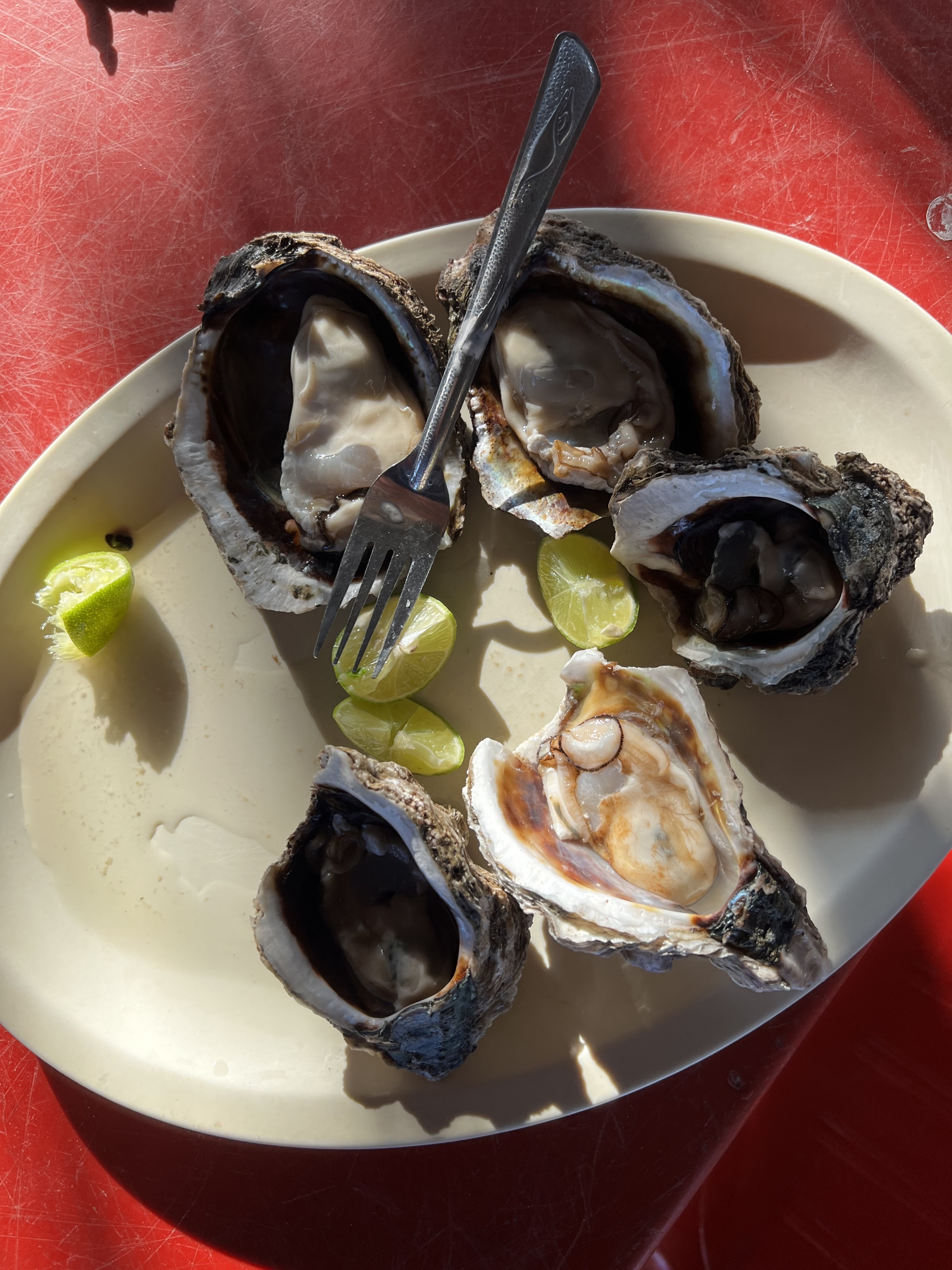 Restaurante La Esmeralda Playa Cangrejo image 3