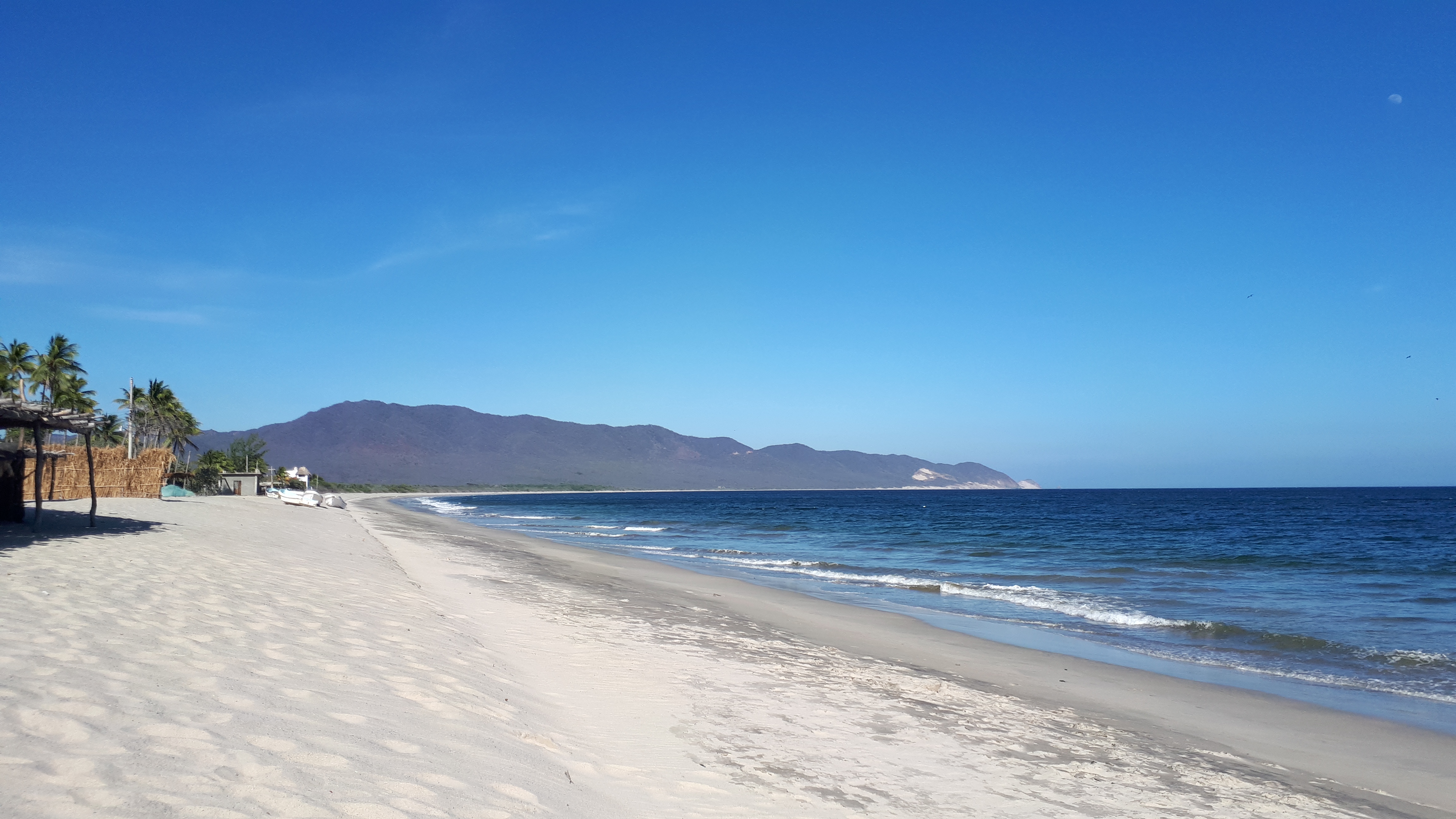 Restaurante La Esmeralda Playa Cangrejo image 4