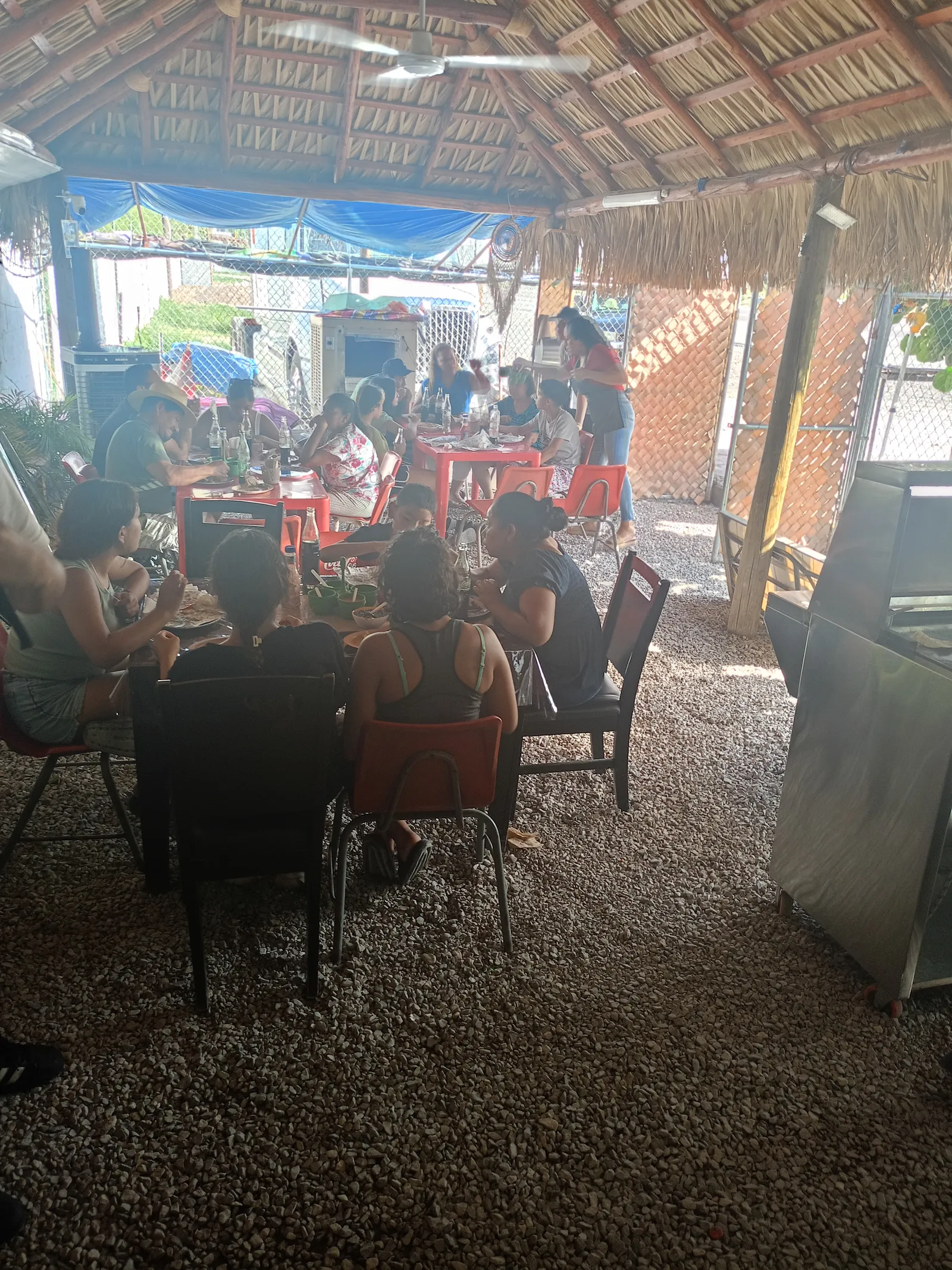 La palapa image 1