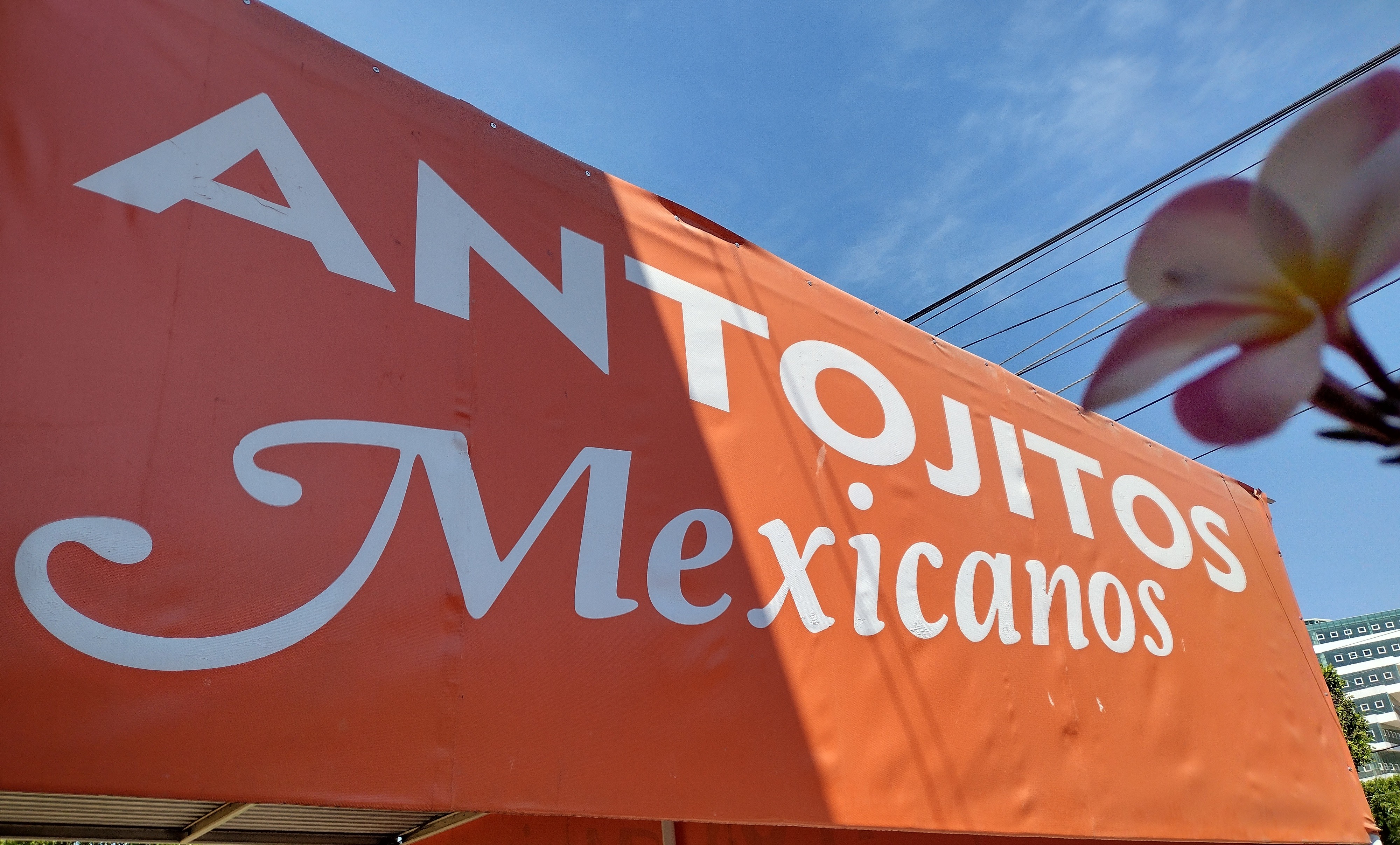 Antojitos Mexicanos image 3