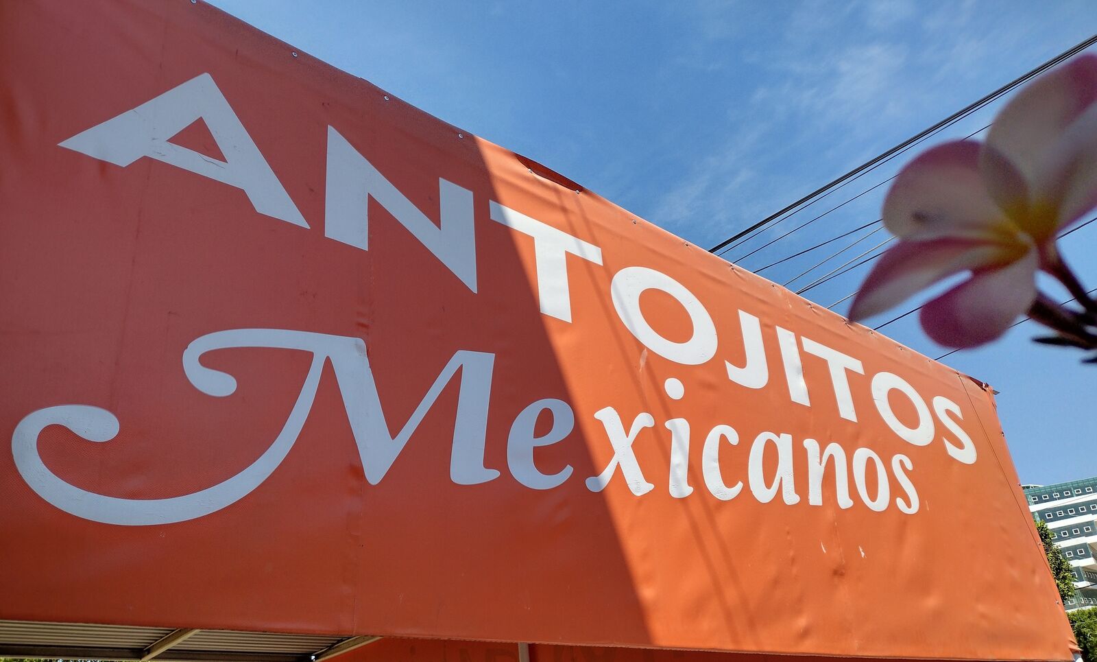 Antojitos Mexicanos image 3