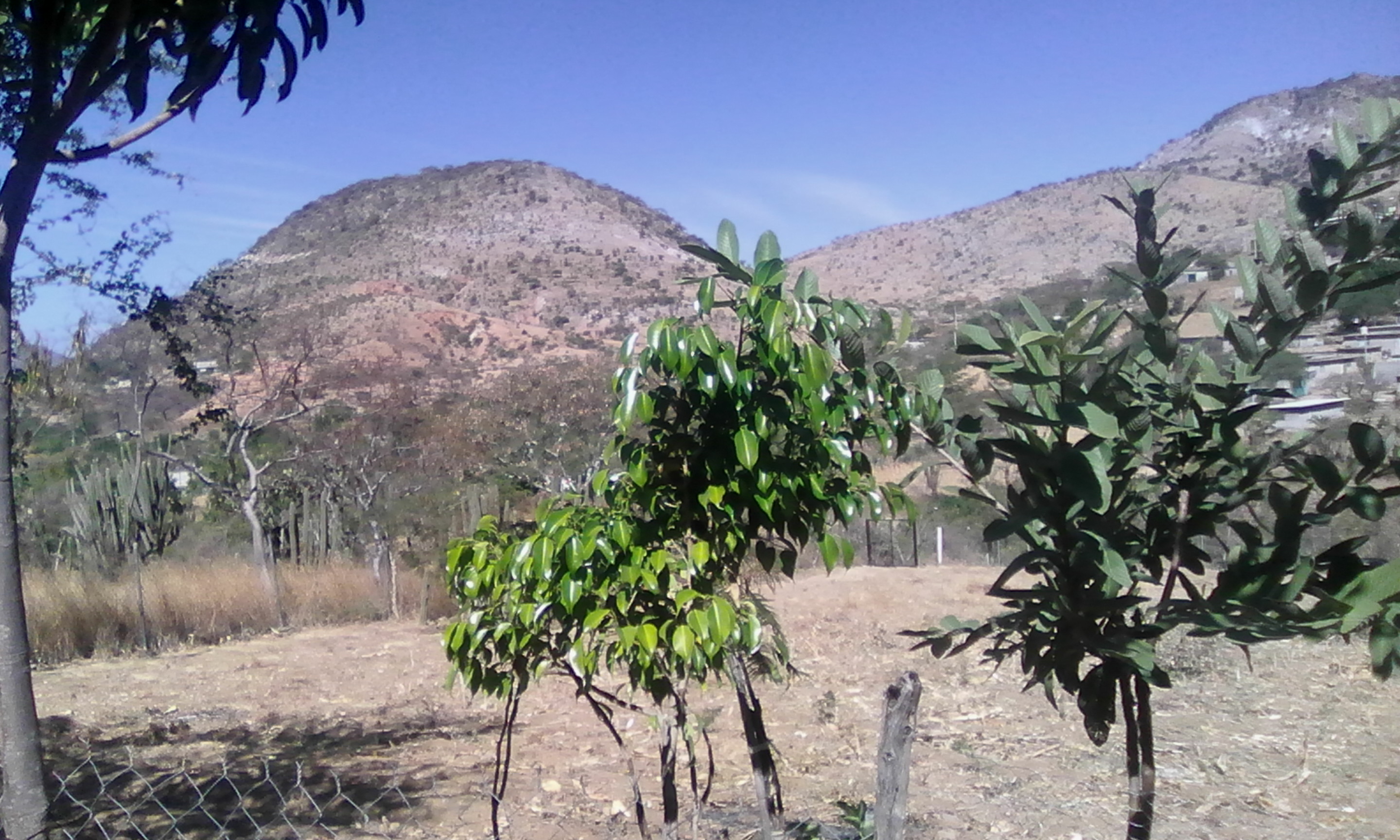 Albercas Santa Cruz image 1