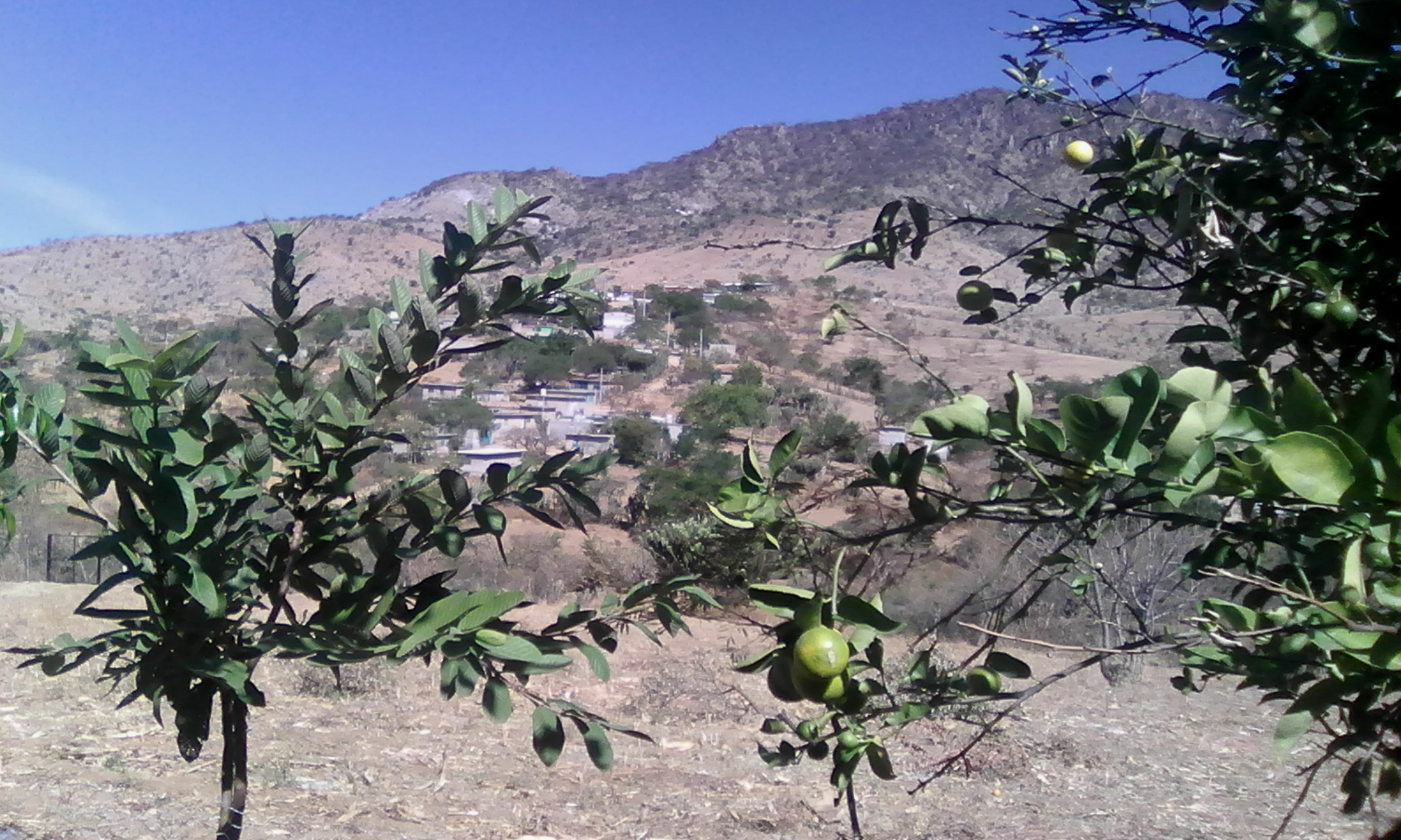 Albercas Santa Cruz image 6