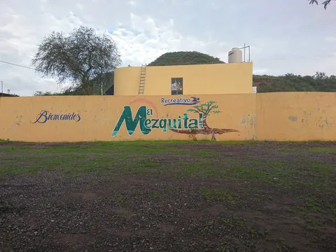 El Mezquital image 1