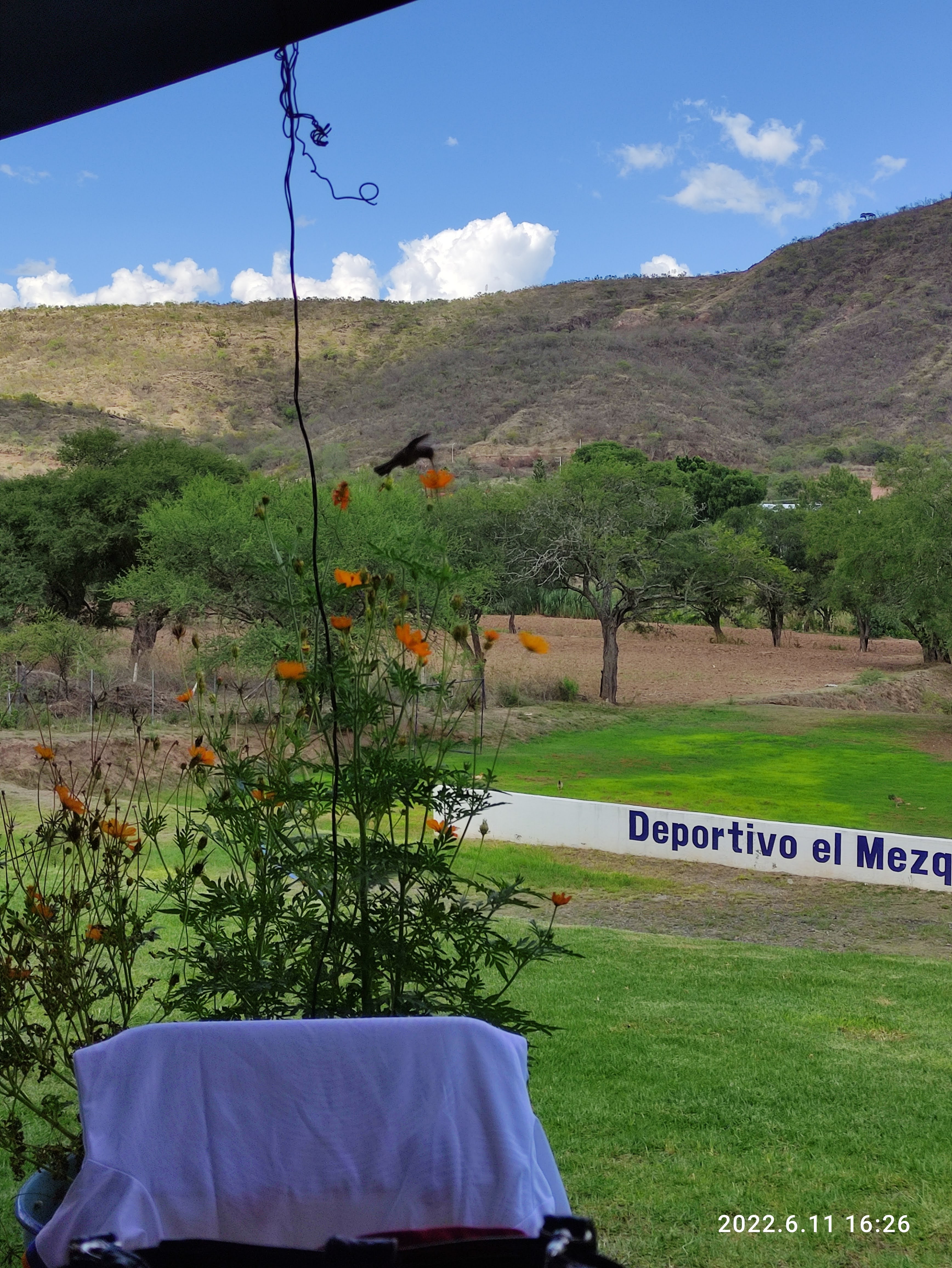 El Mezquital image 10