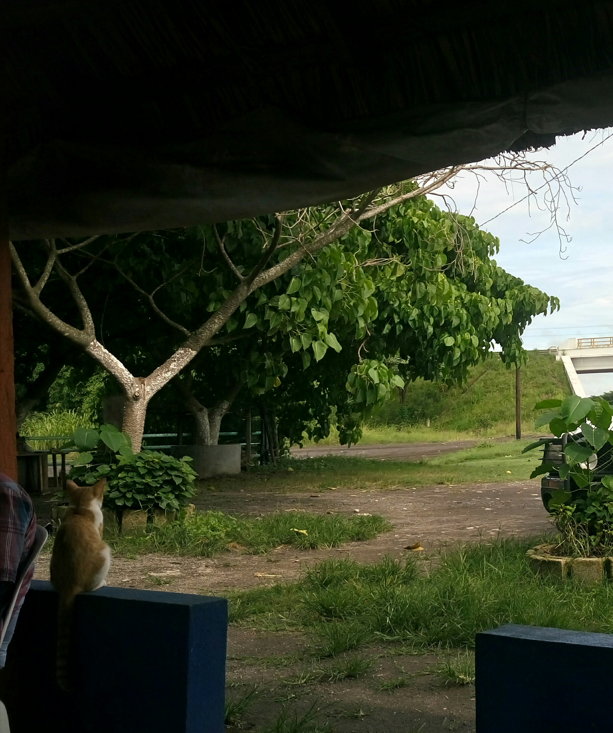 Restaurant Juquilita image 7