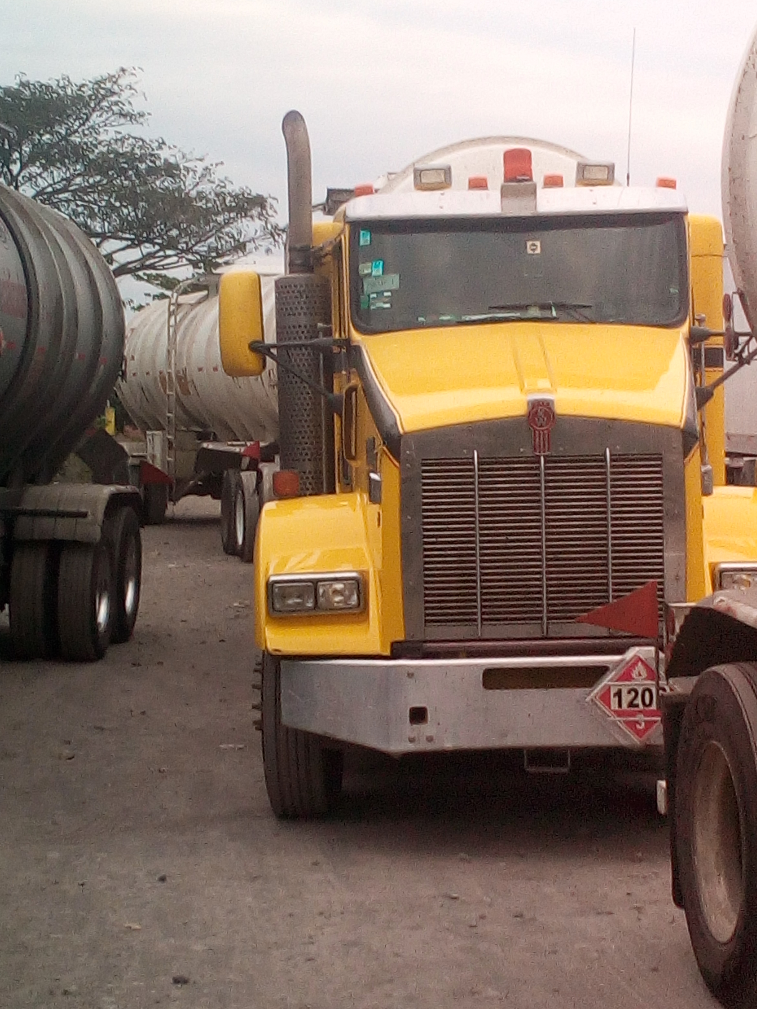 Comedor La Palapa de boby image 6