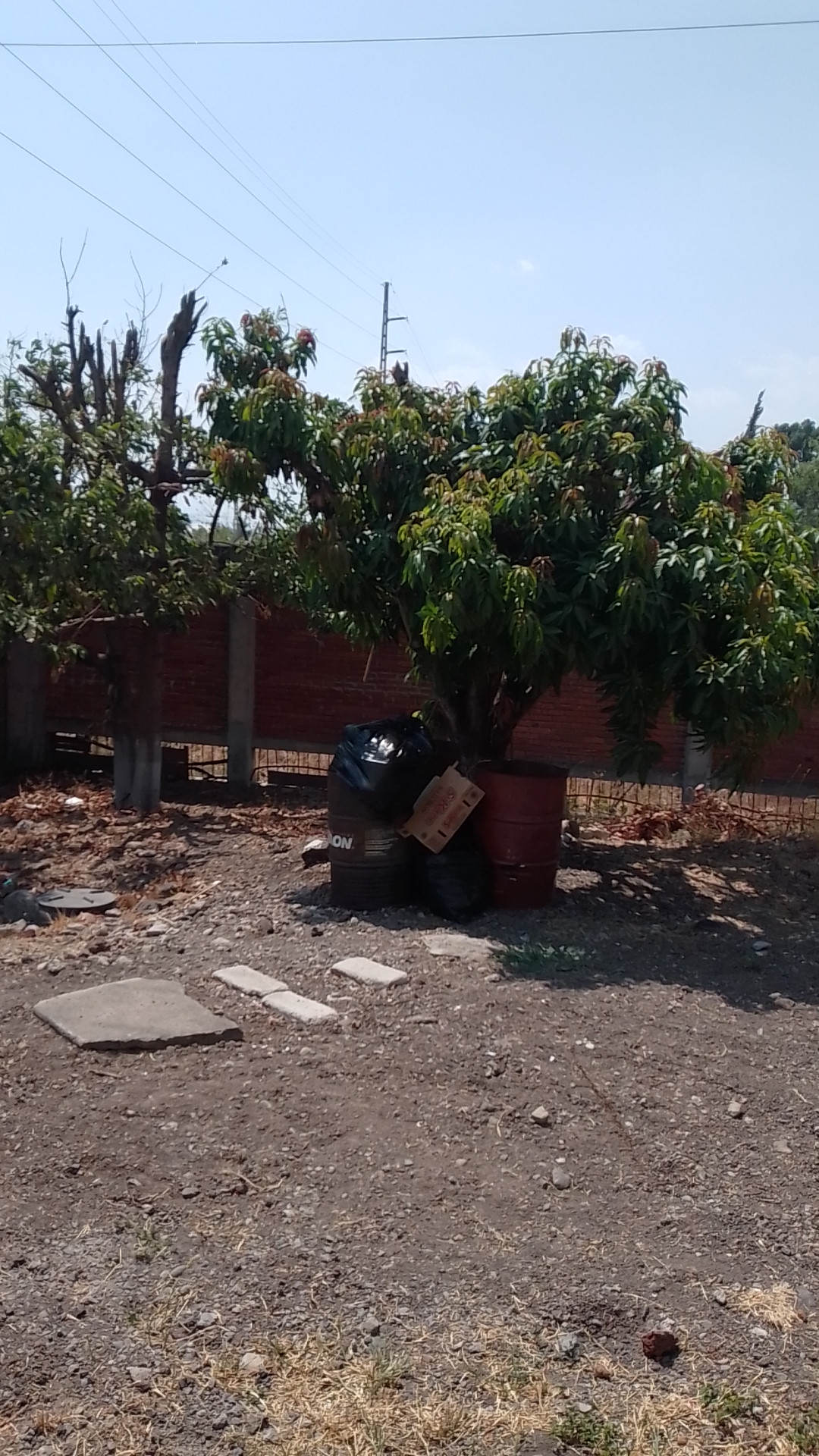 Cenaduria sandy image 3