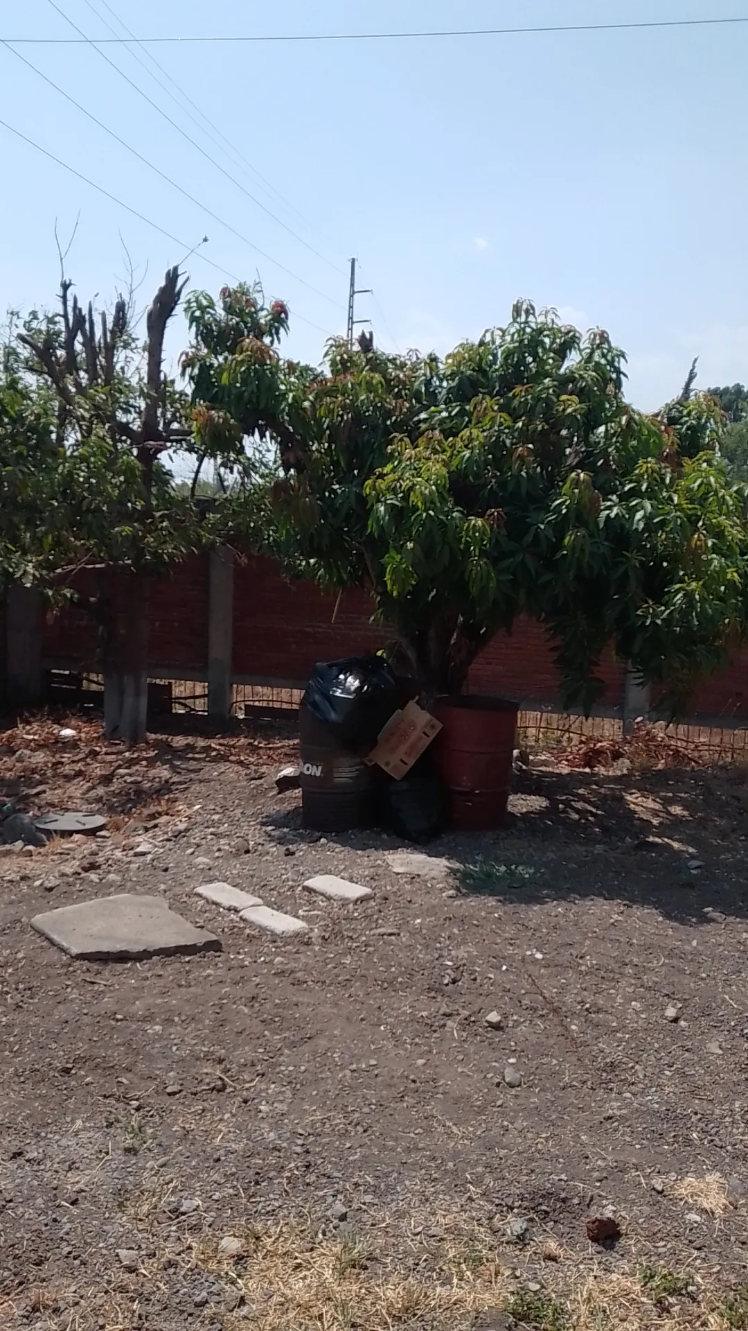 Cenaduria sandy image 3