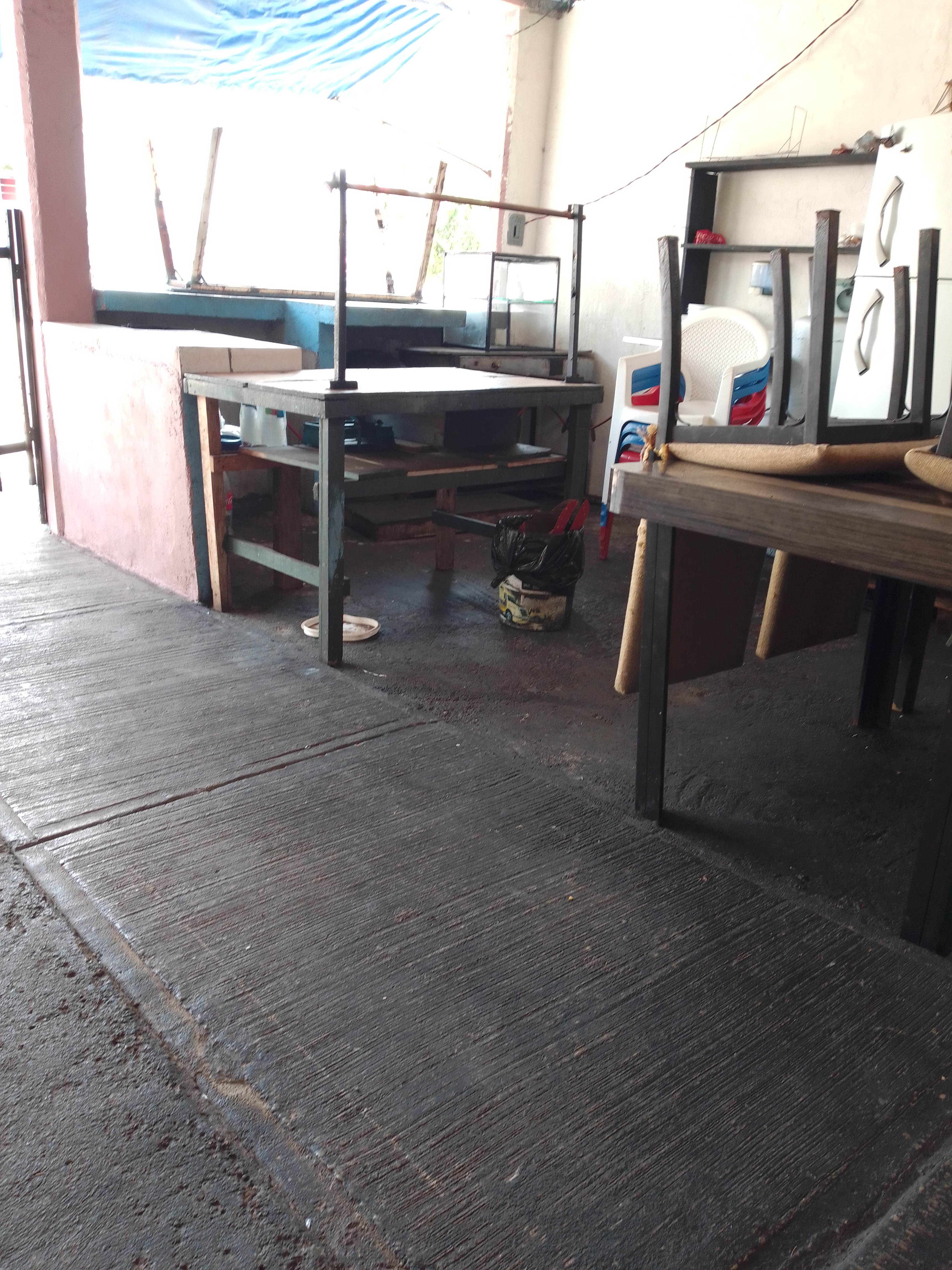 Cenaduria sandy image 4