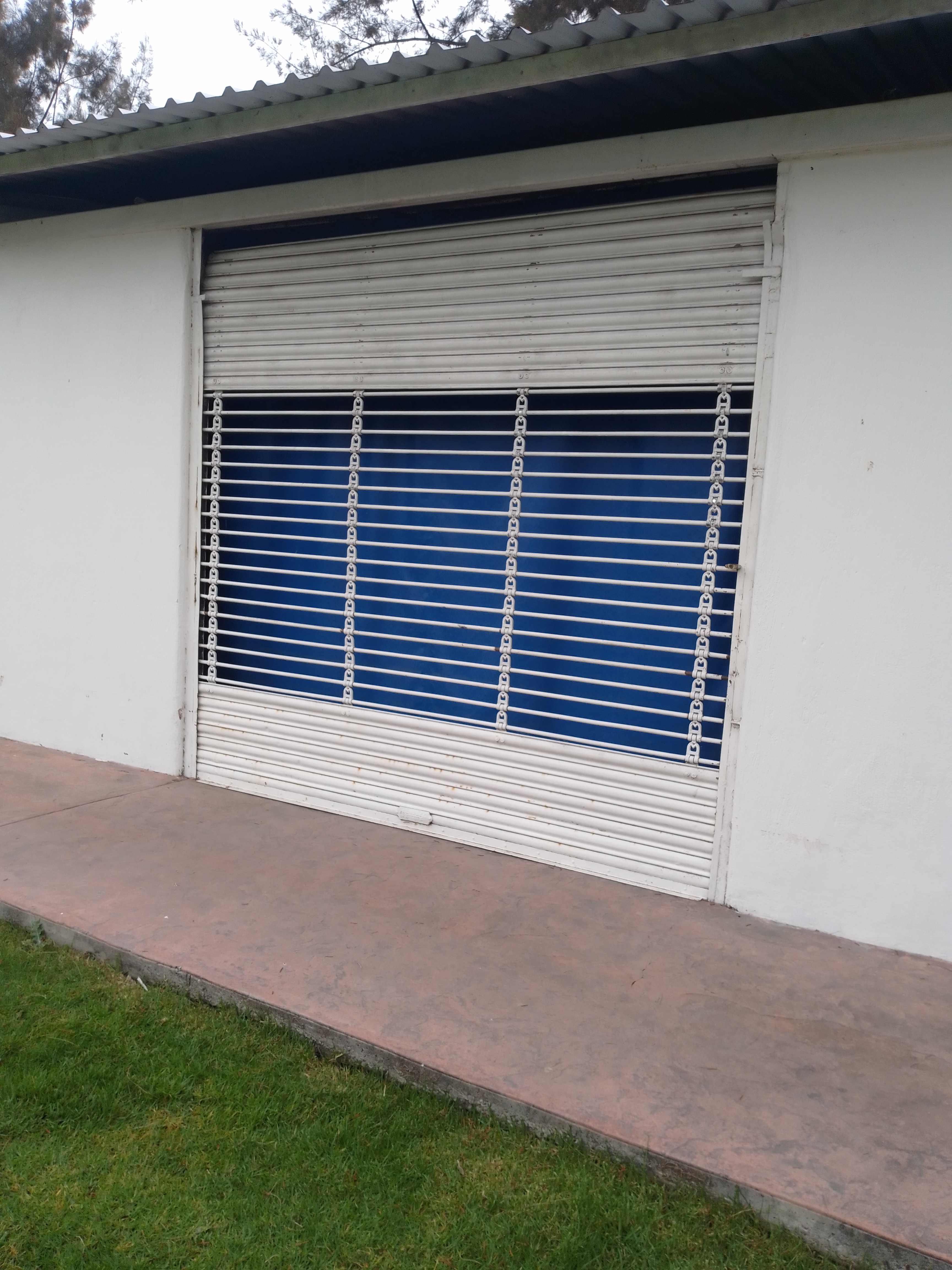 Cenaduria sandy image 7