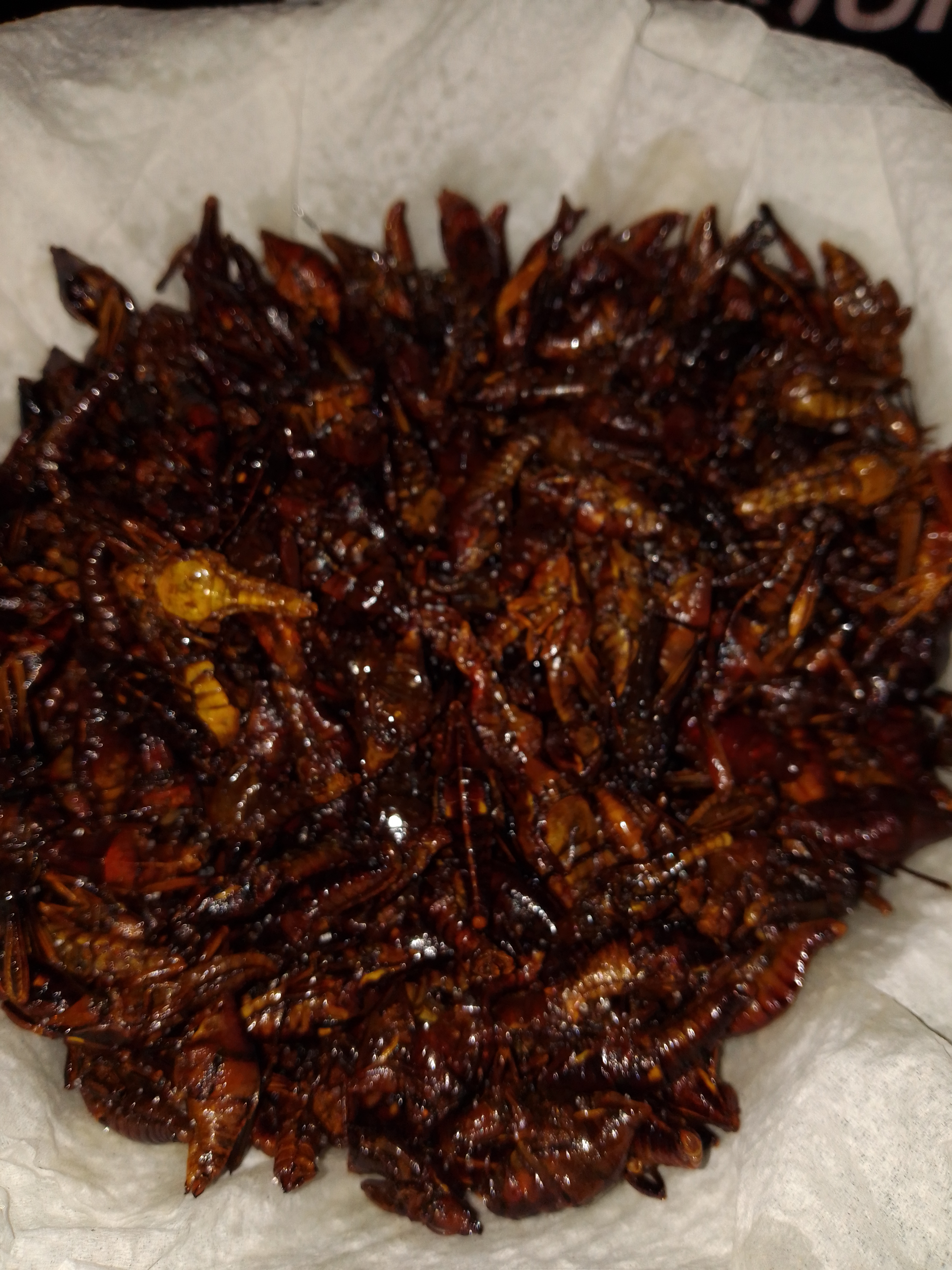 Cenaduria sandy image 8