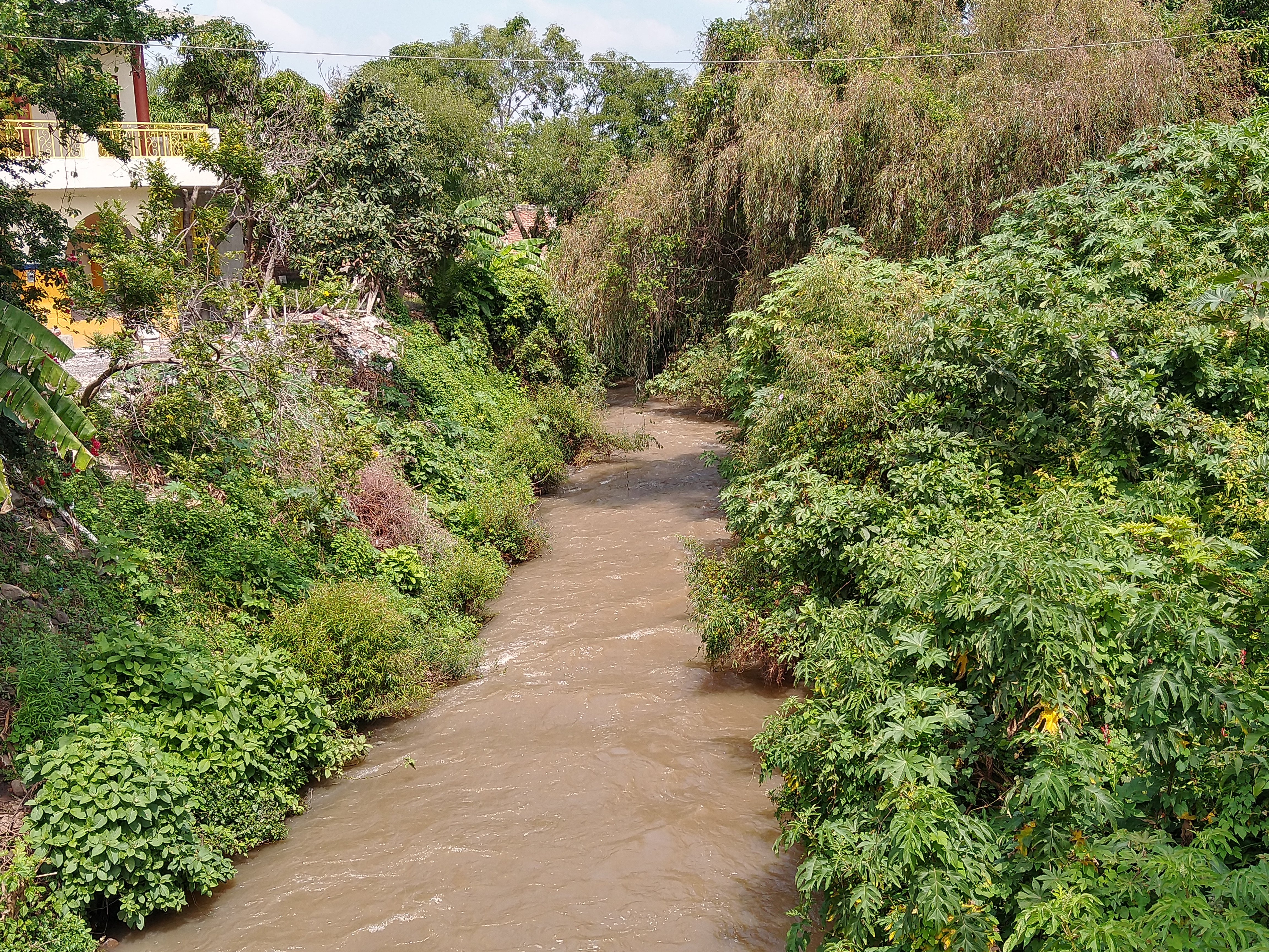 Tacos, gringas y tortas "La Primilla" image 1