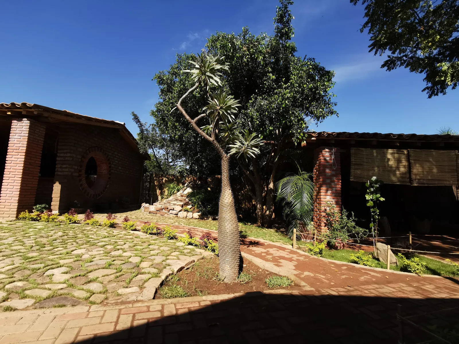 Al Fresco image 5