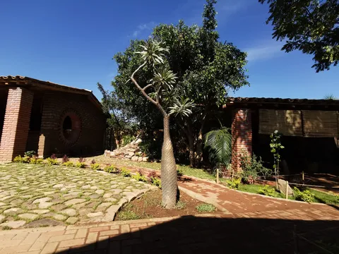 Al Fresco image 5