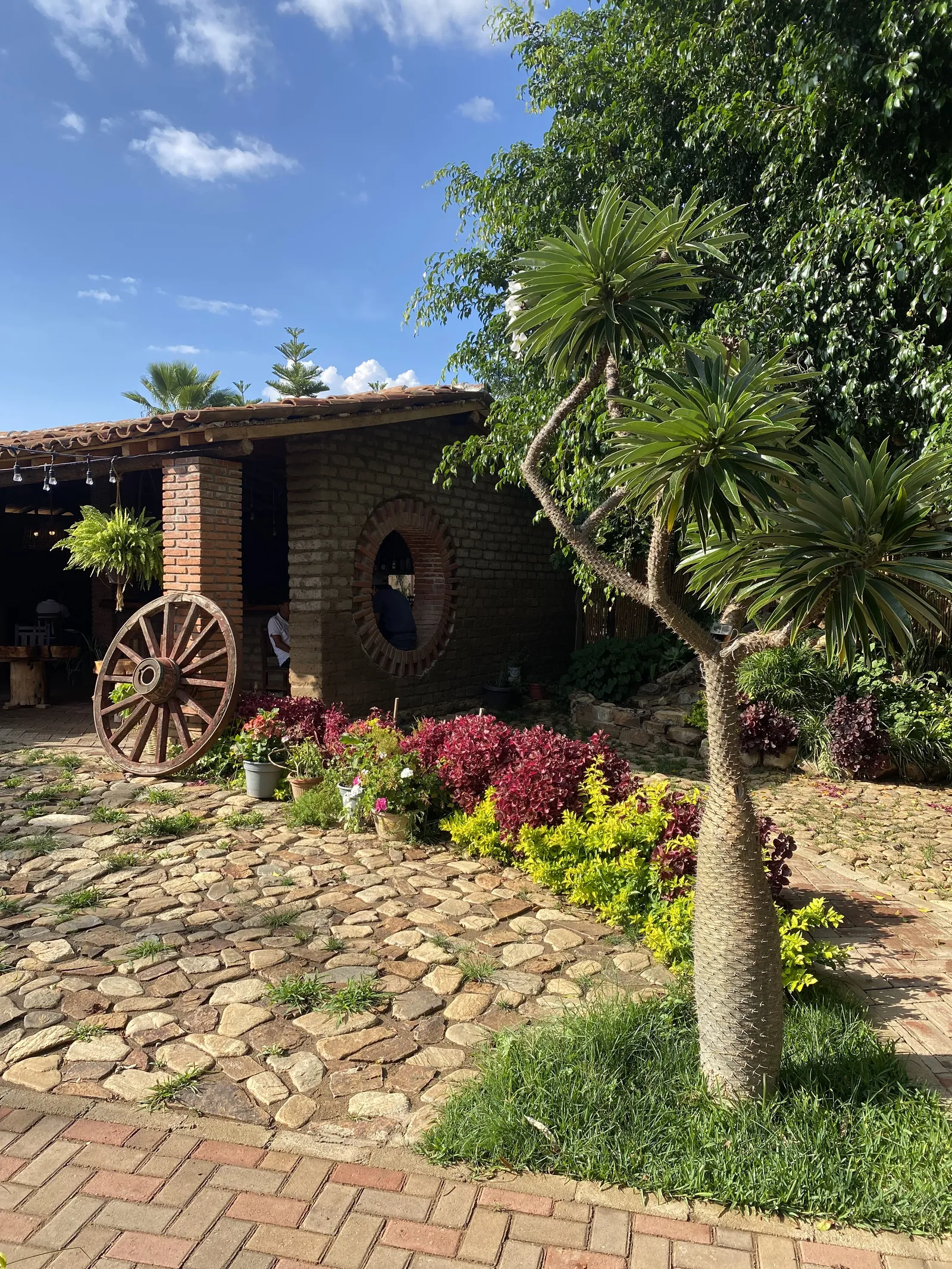 Al Fresco image 10