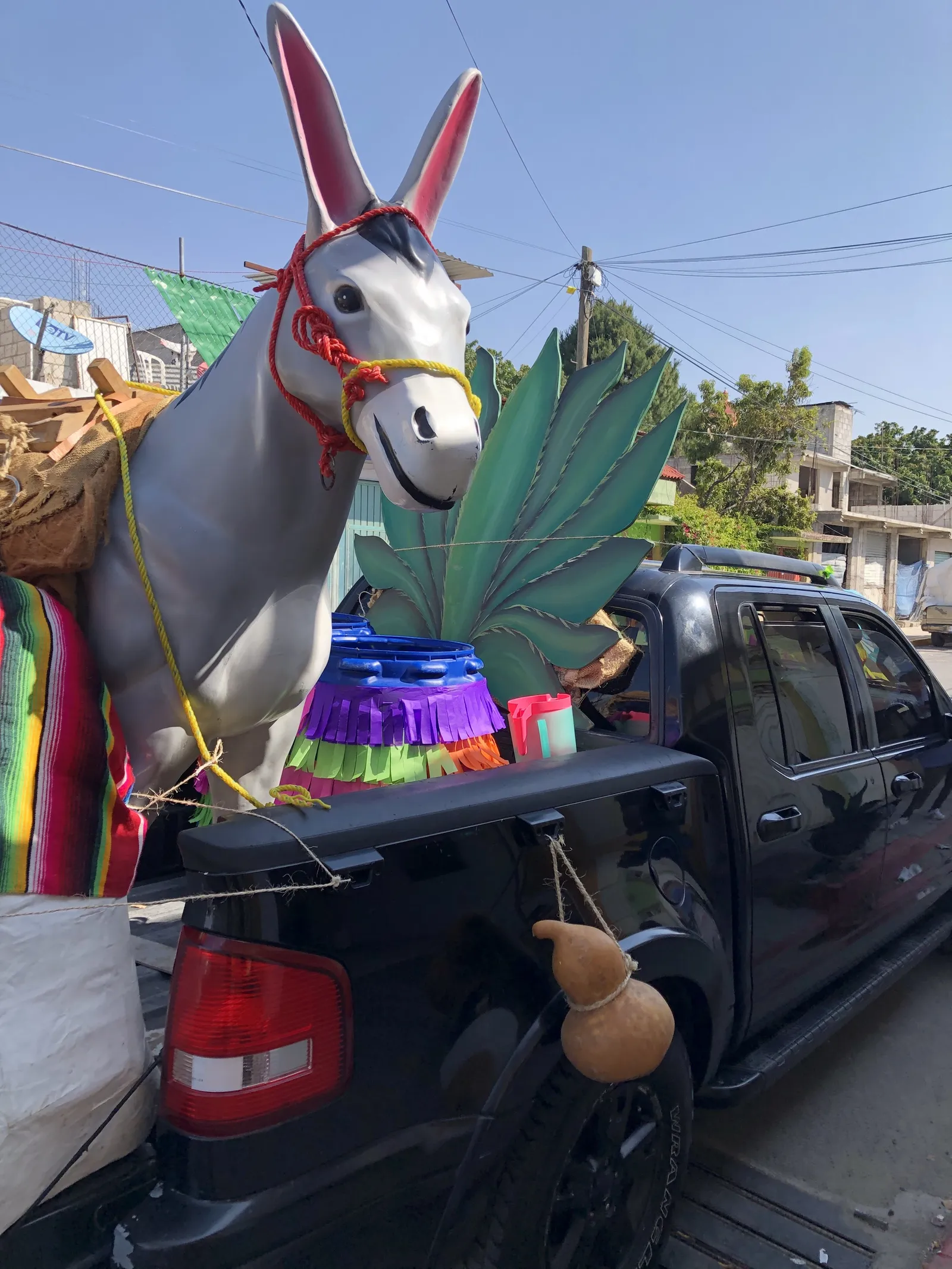 Pulqueria La pura vida image 7