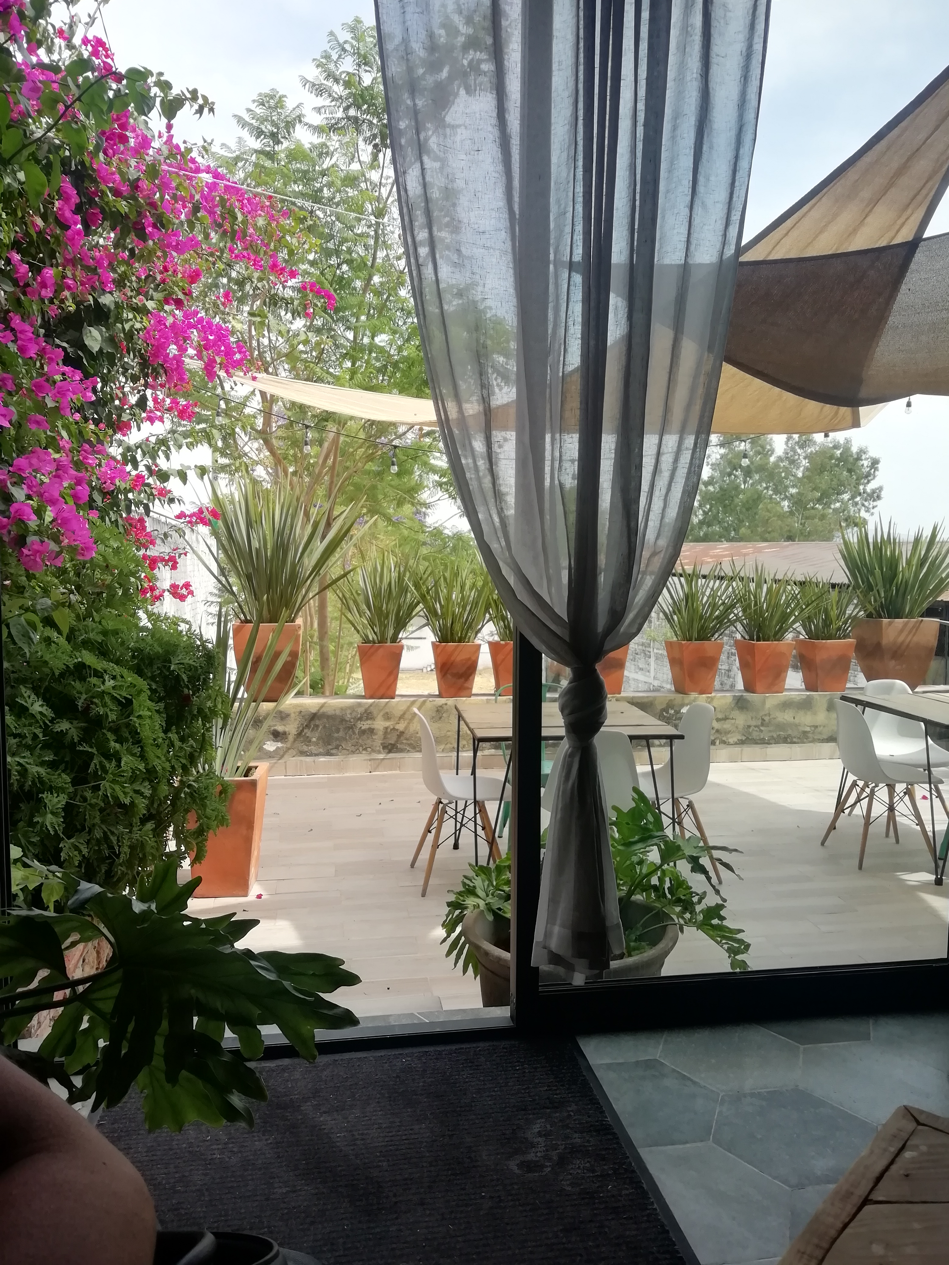 Remedios Restaurante image 10