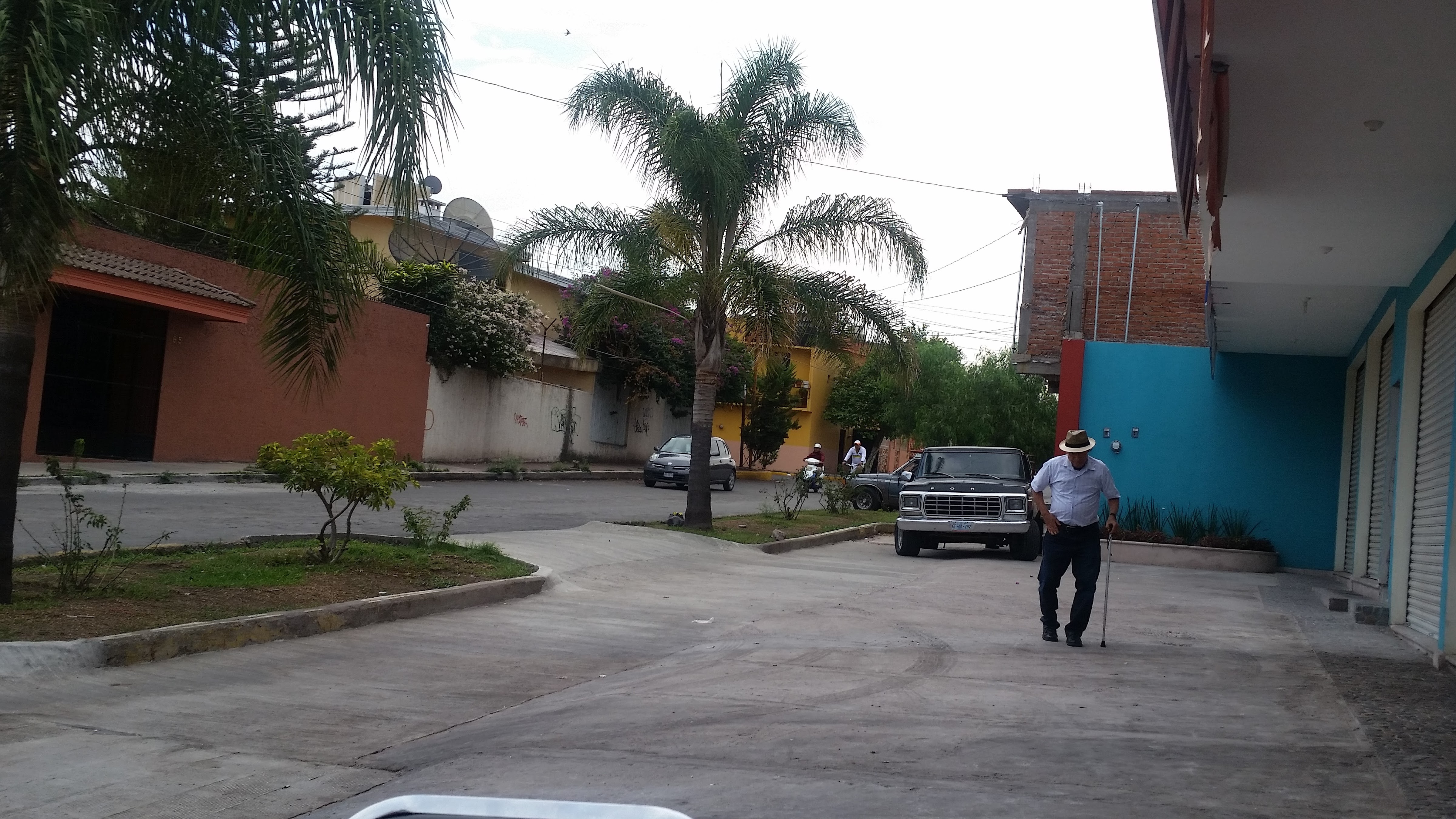 Burgers Wings image 7