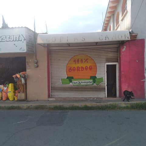 100%Gordoo image 1