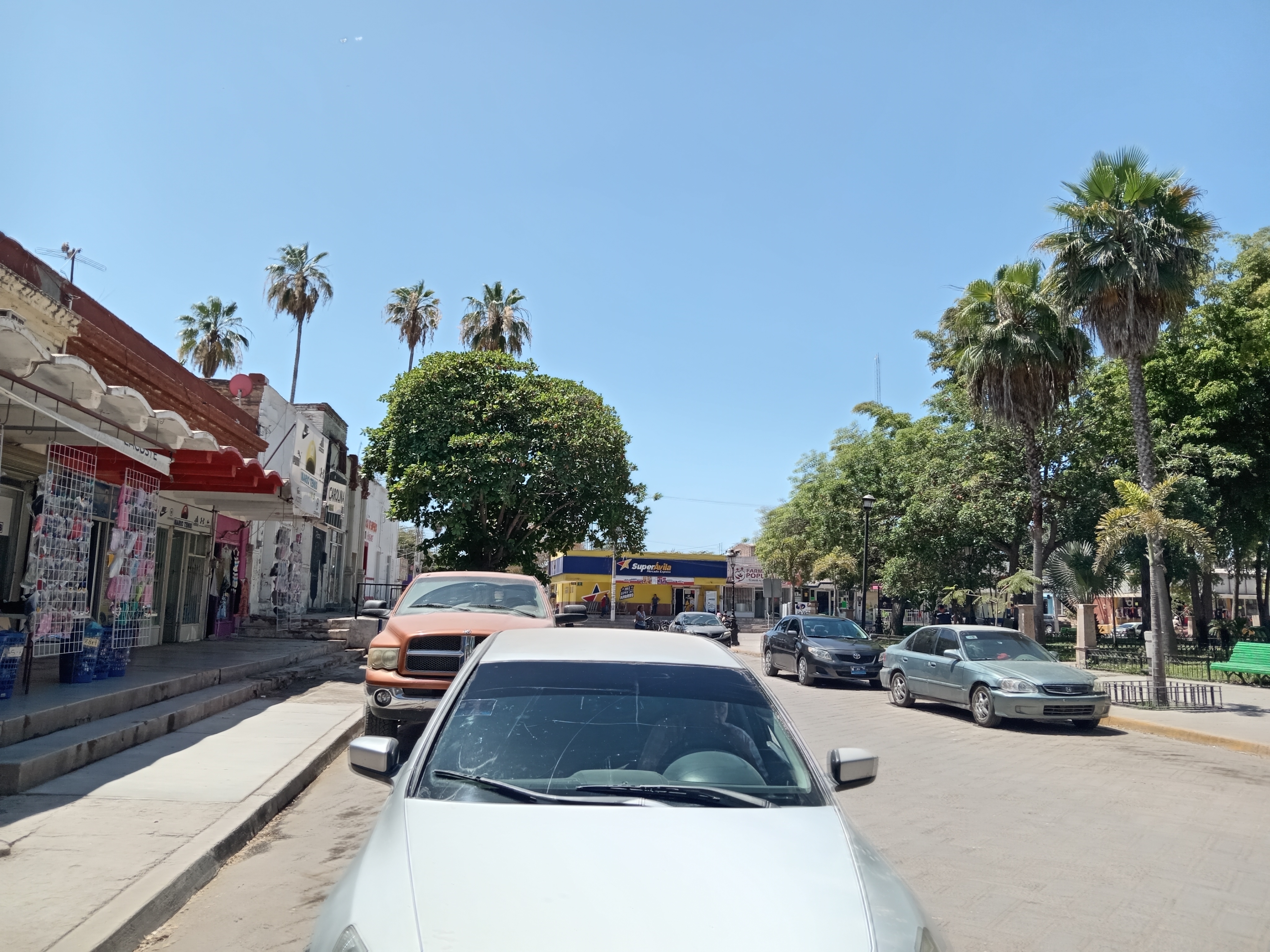 Casa de Frida image 6