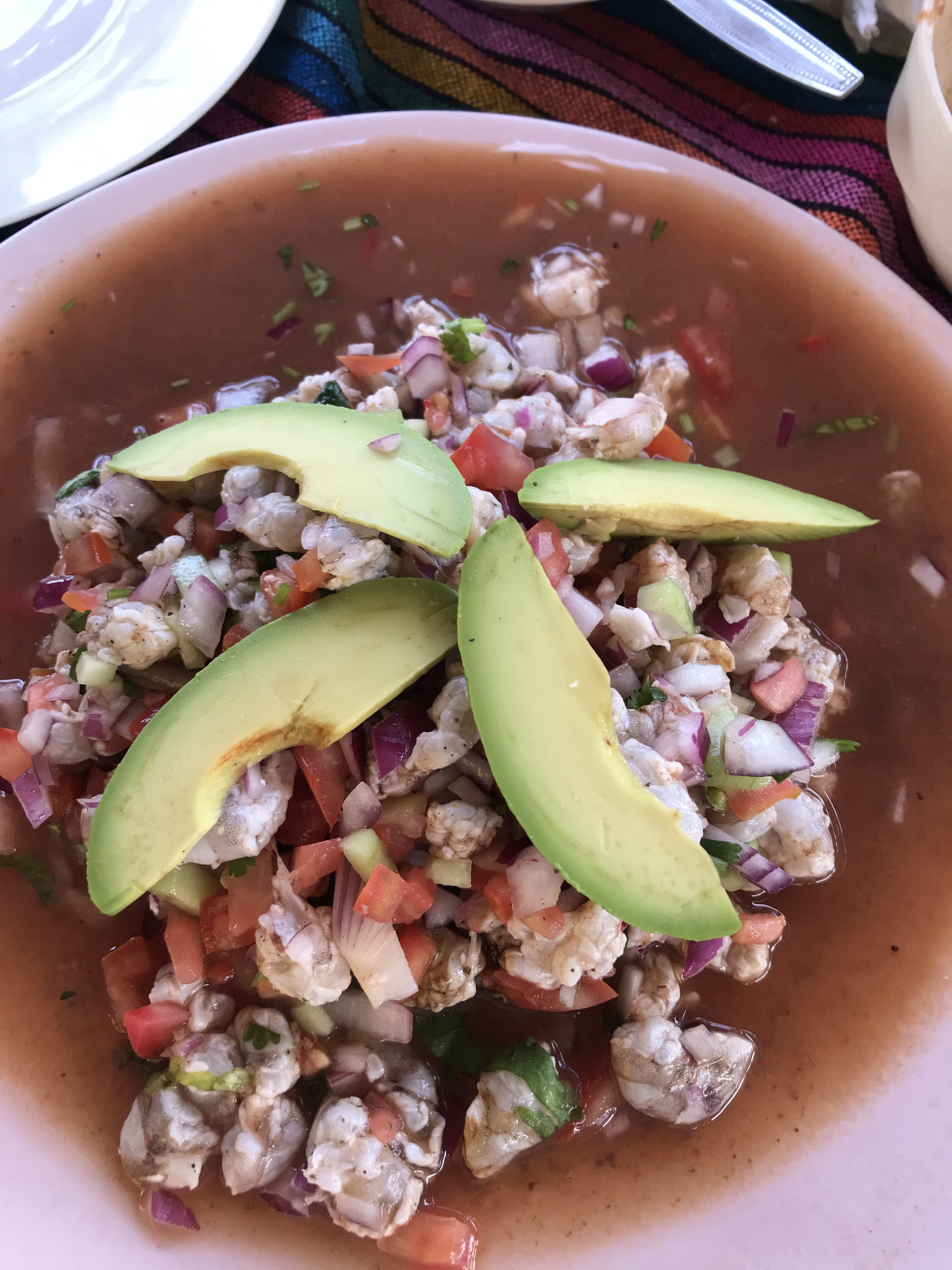 Casa de Frida image 9