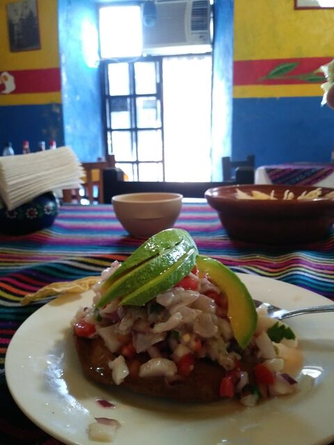 Casa de Frida image 10
