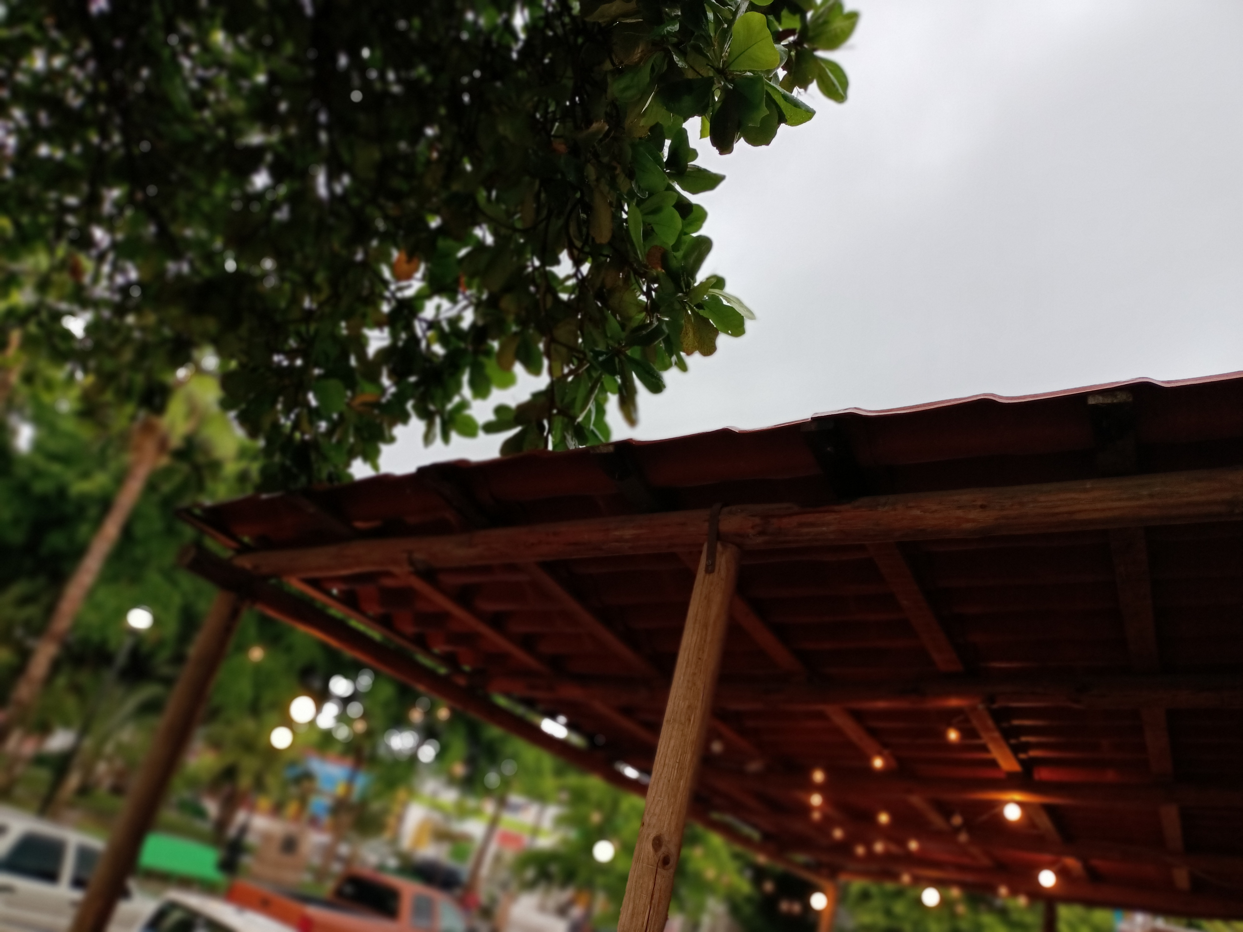 Pasteleria pizzeria y panaderia "papipan"" image 9