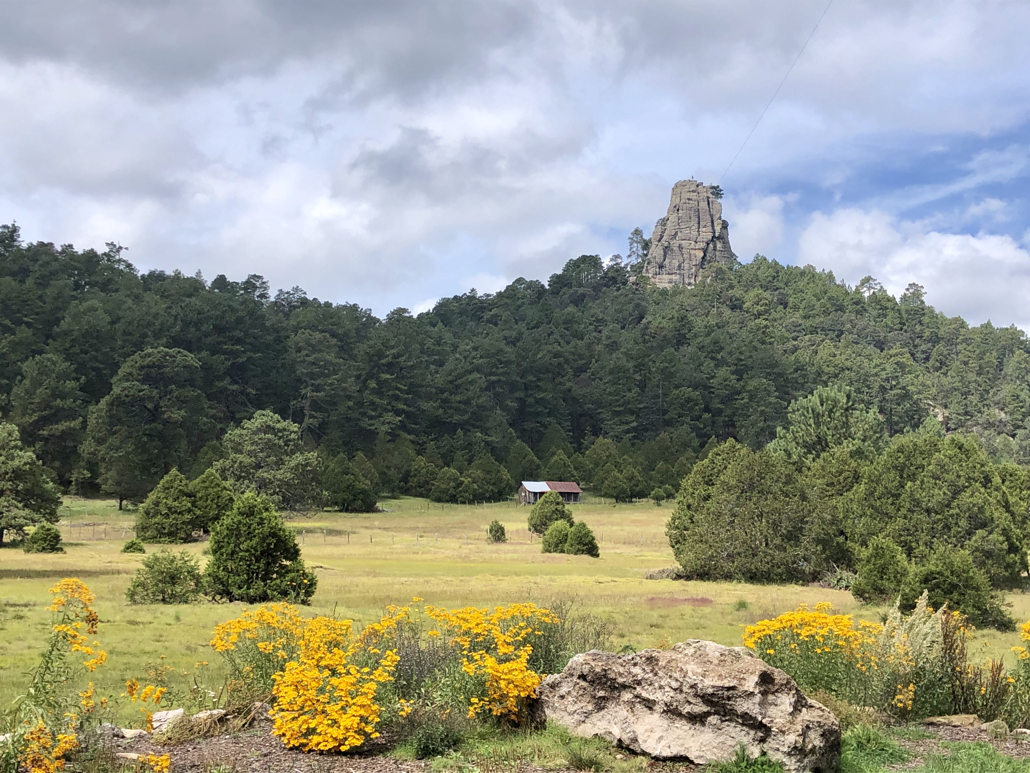RESTAURANTE DE MONTAÑA - MONKEY LODGE - Parque La Pirámide image 3