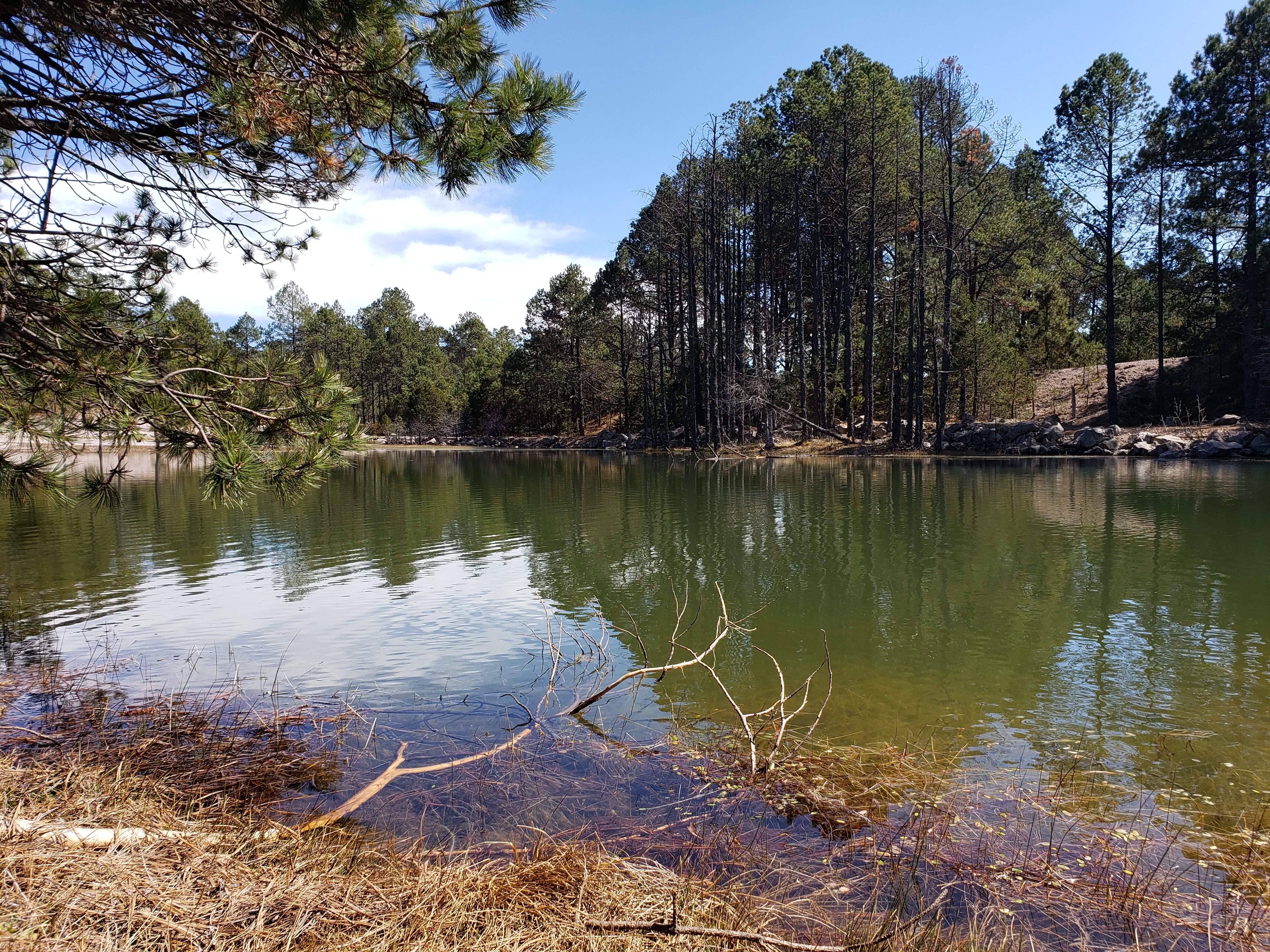 RESTAURANTE DE MONTAÑA - MONKEY LODGE - Parque La Pirámide image 7