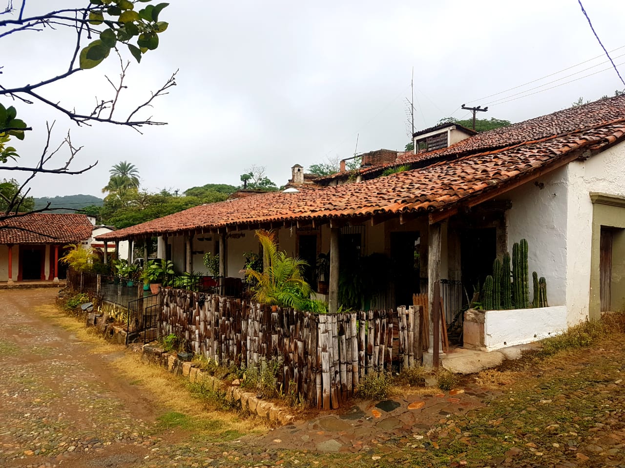 Restaurante Alejandro image 3