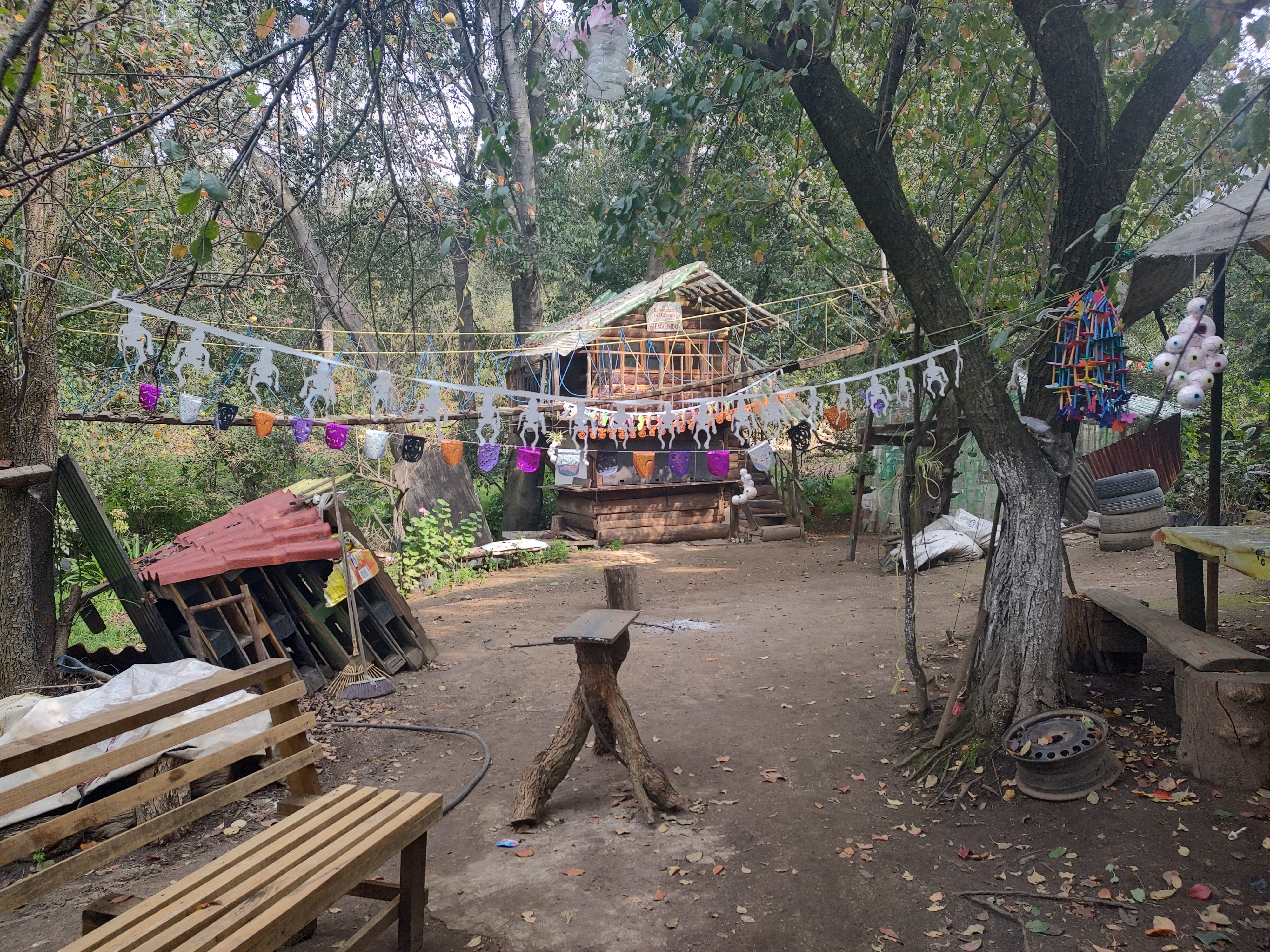 Rancho Nogalar del Carmen "Camping Club" image 4