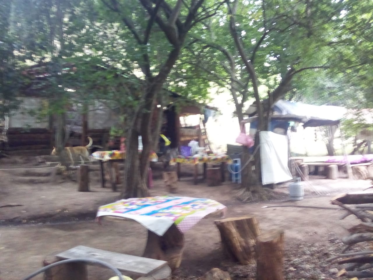 Rancho Nogalar del Carmen "Camping Club" image 5