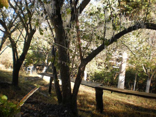 Rancho Nogalar del Carmen "Camping Club" image 7