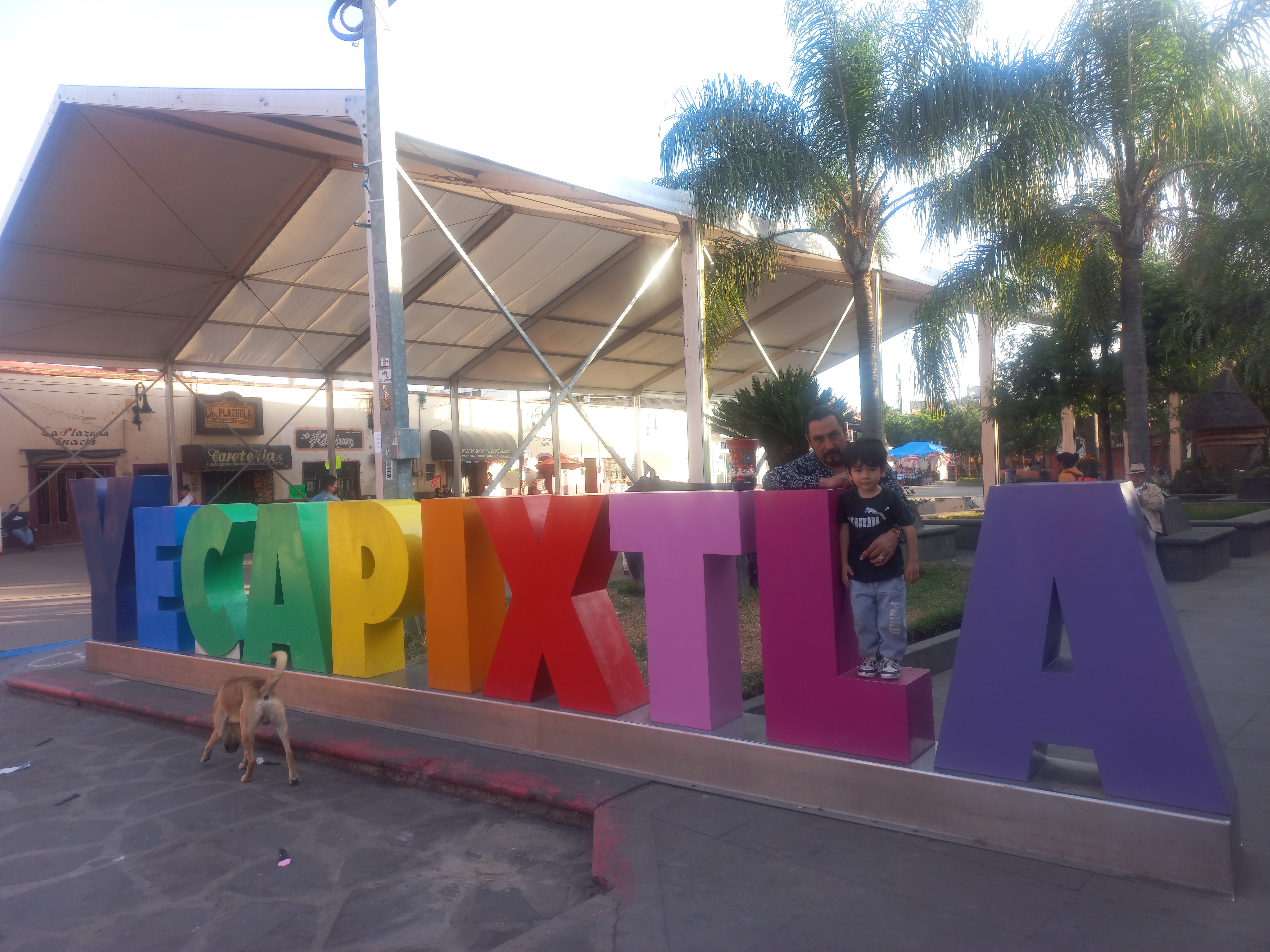 Cecina De Yecapixtla image 3