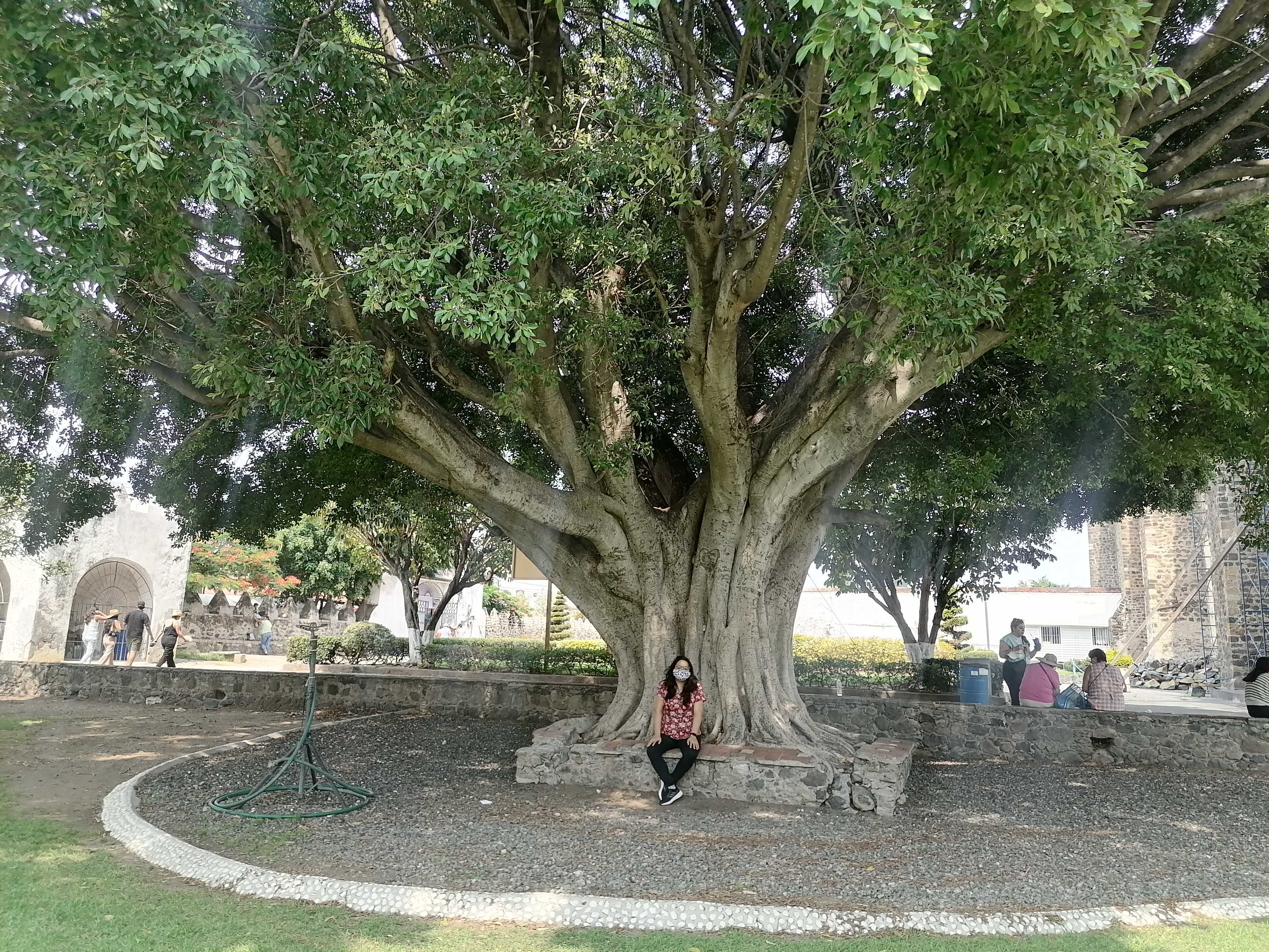 Cecina De Yecapixtla image 4