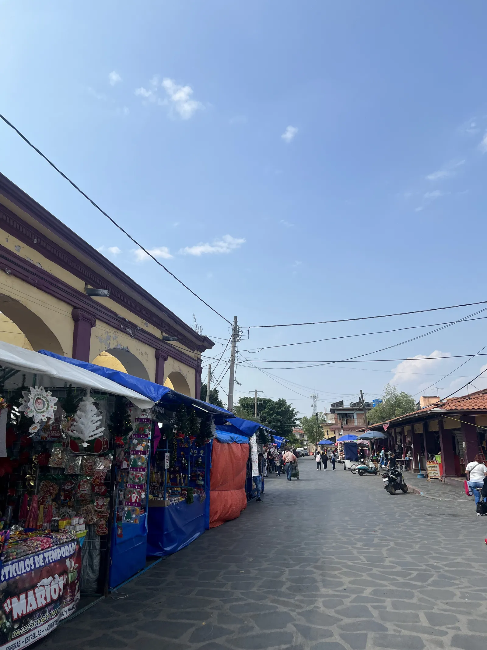 Cecina De Yecapixtla image 6