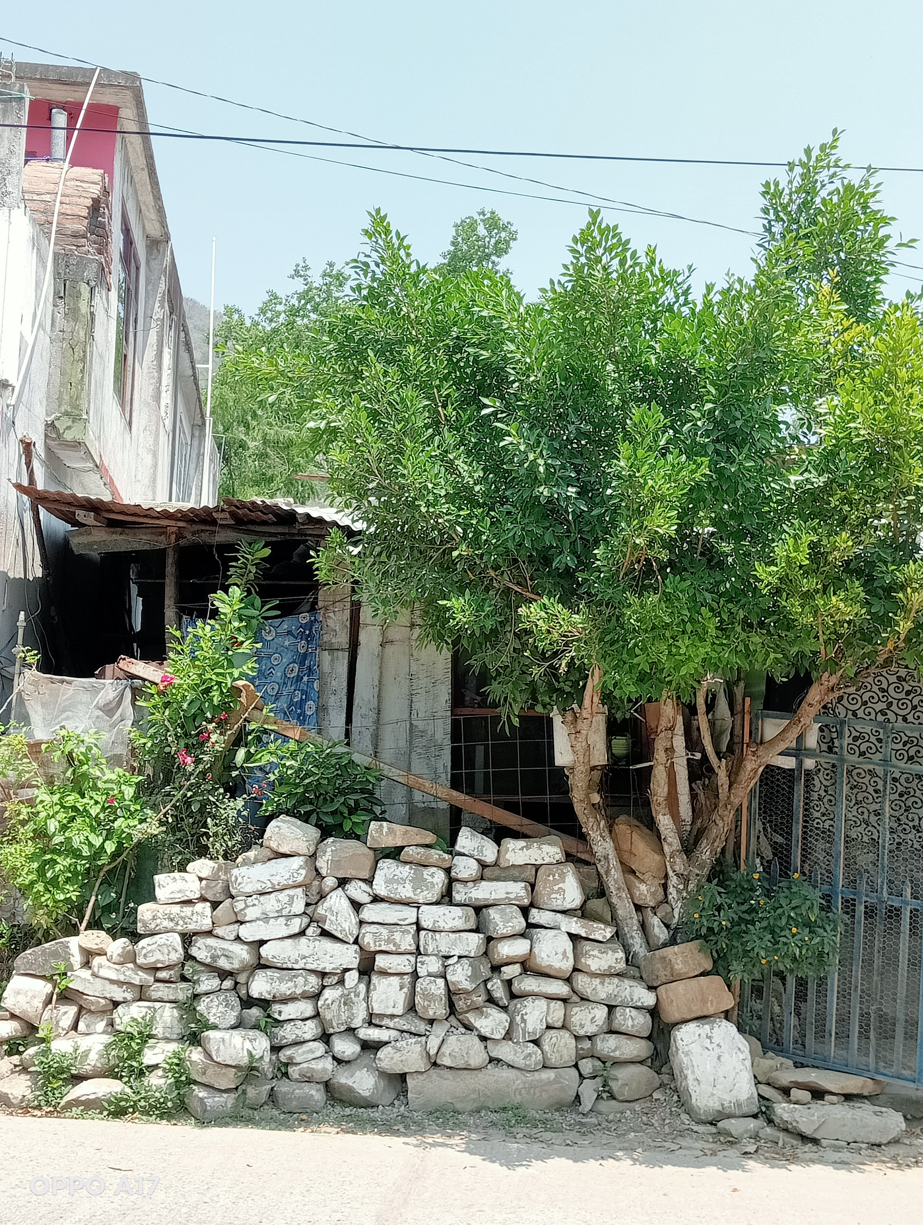 Taquería Tlahuelompa image 3