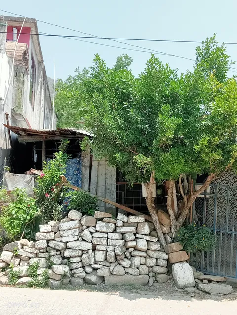 Taquería Tlahuelompa image 3
