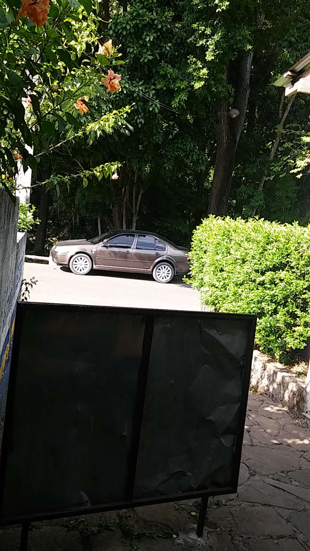 Cerveceria "EL TESH" image 10