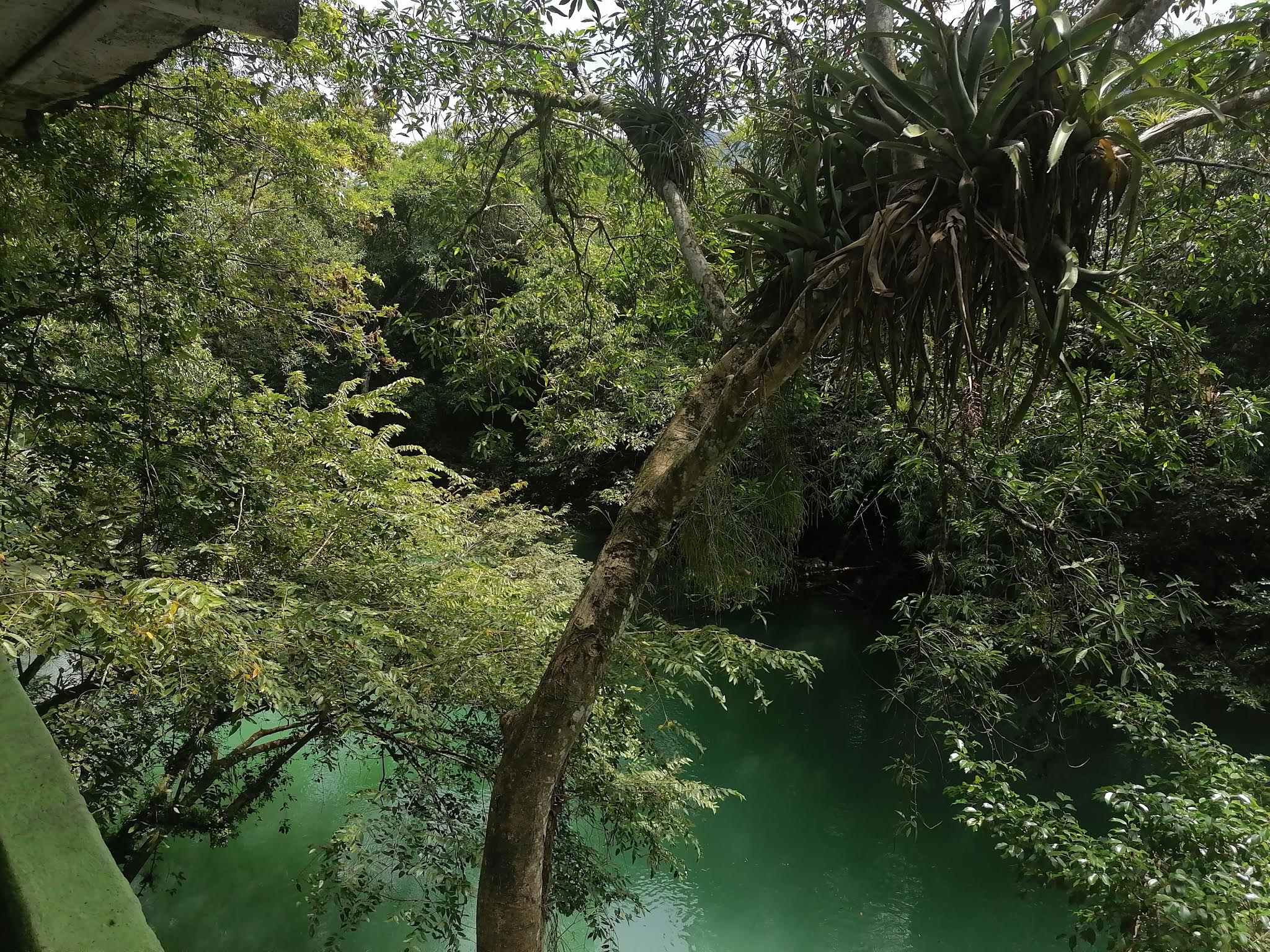Pescados y Mariscos Paco restaurante de mariscos en la huasteca Potosí a cerca de xililtla image 7