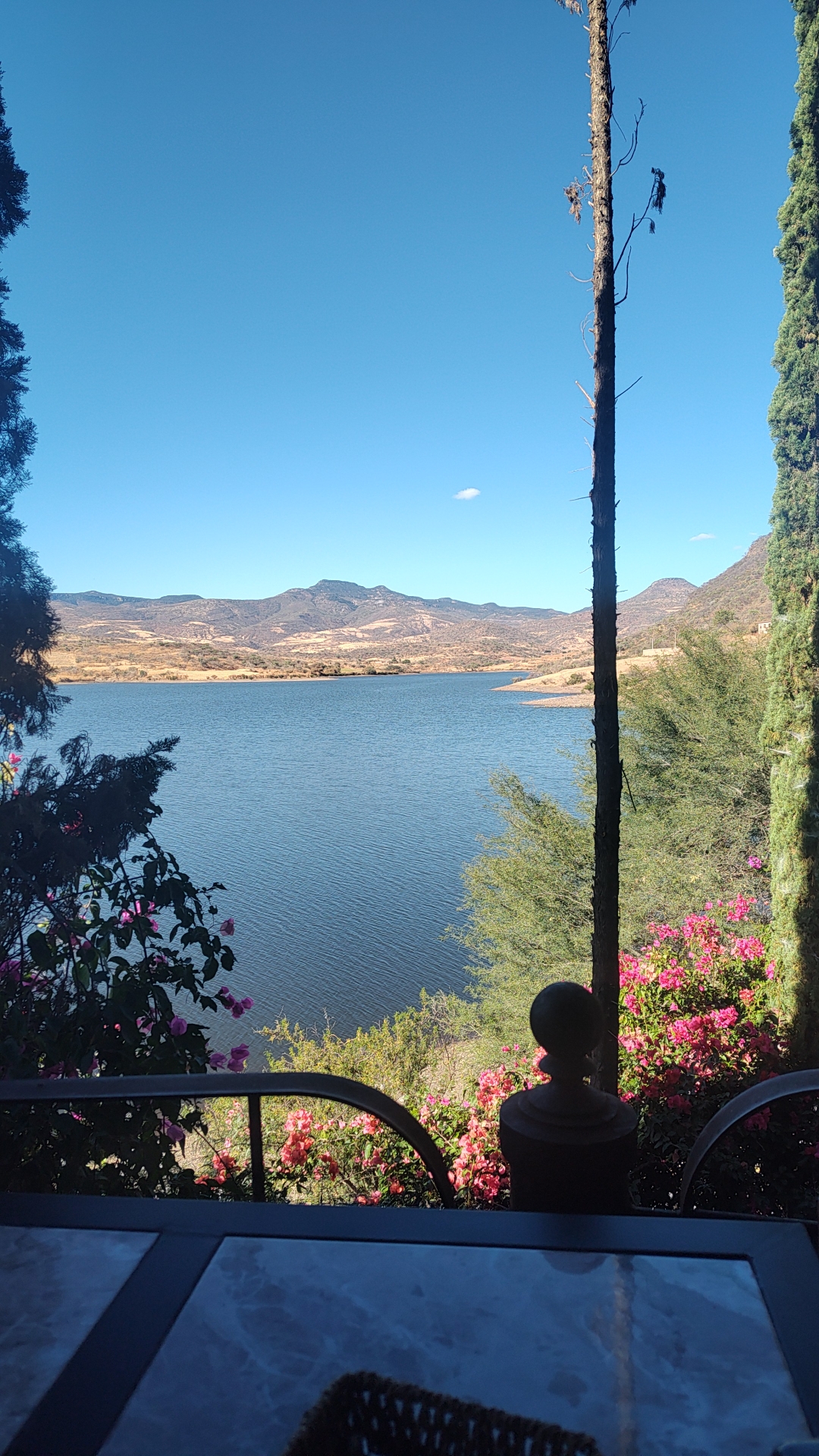 Mariscos El Paya image 9