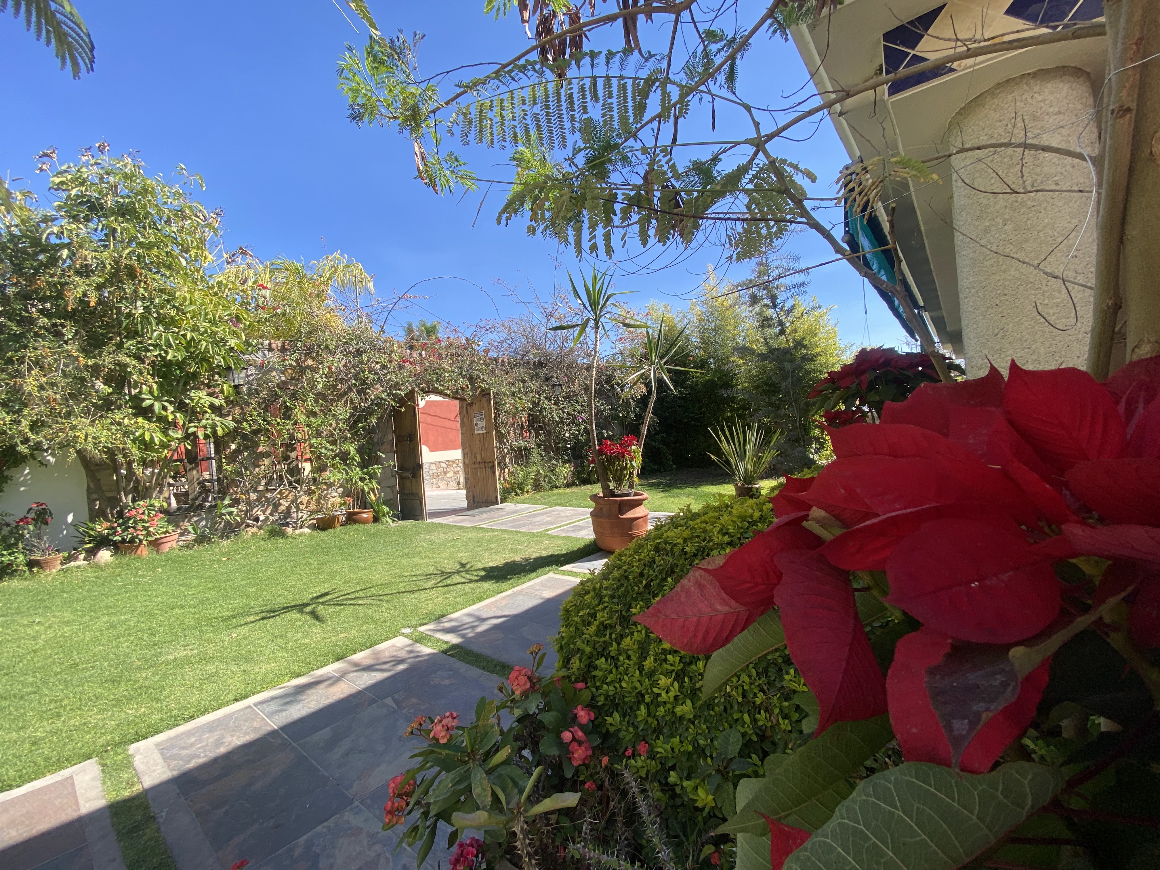 Mariscos El Paya image 10