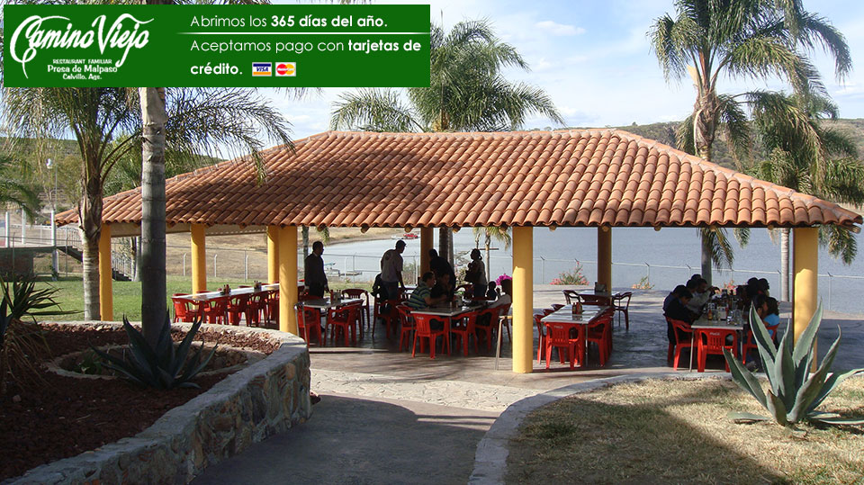 Restaurant Camino Viejo SA de CV image 1