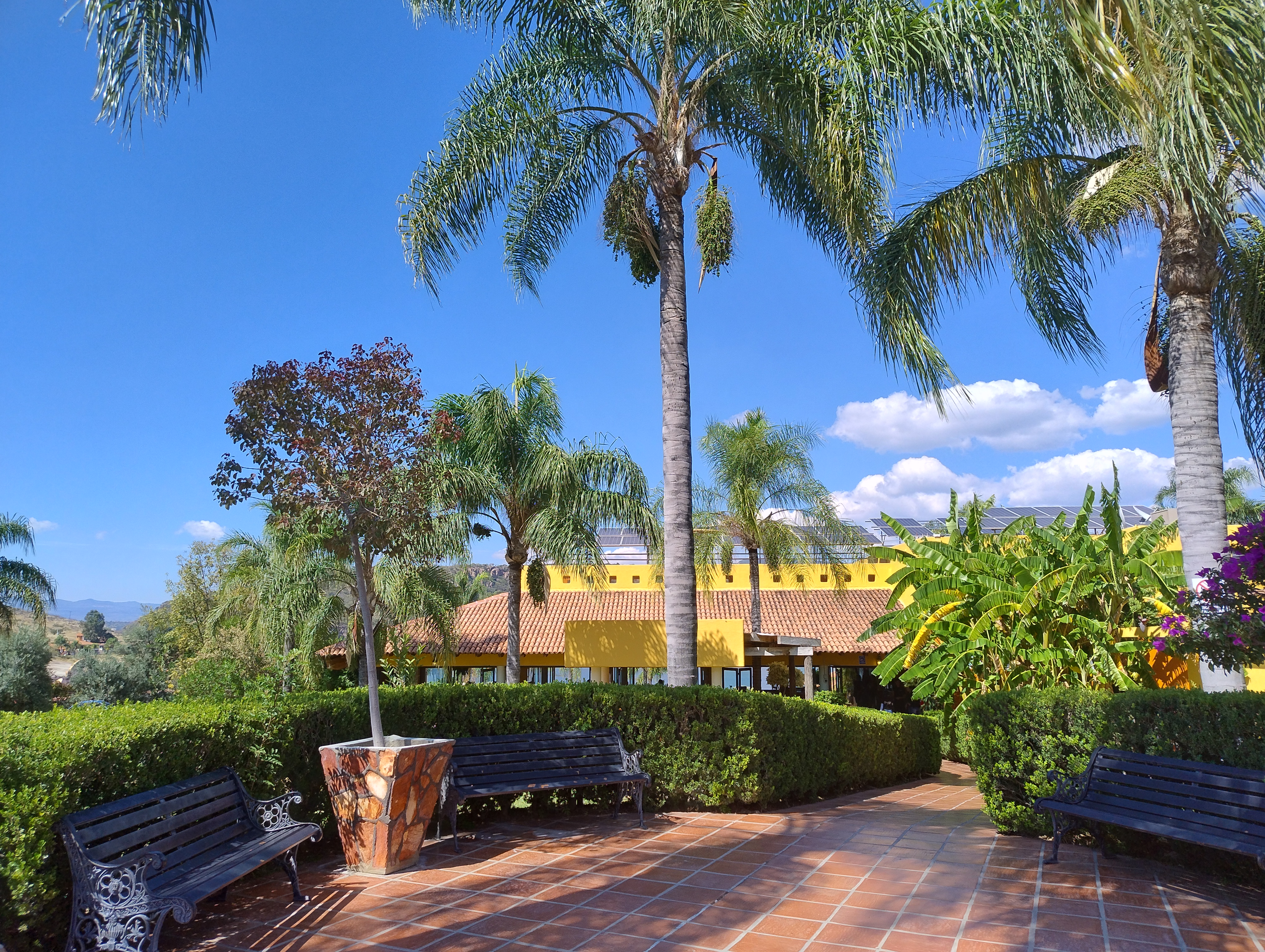 Restaurant Camino Viejo SA de CV image 6