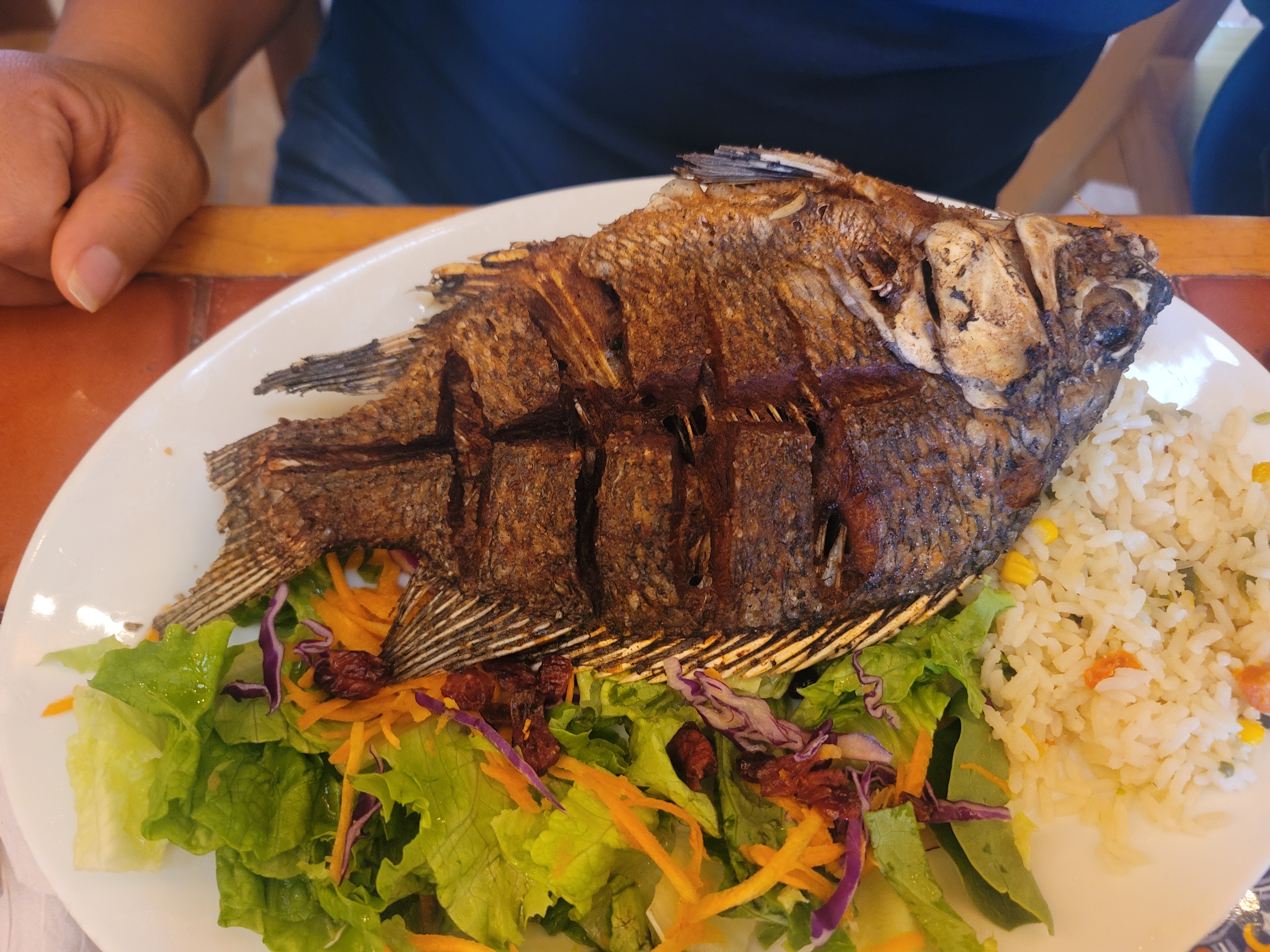 Restaurant Camino Viejo SA de CV image 8