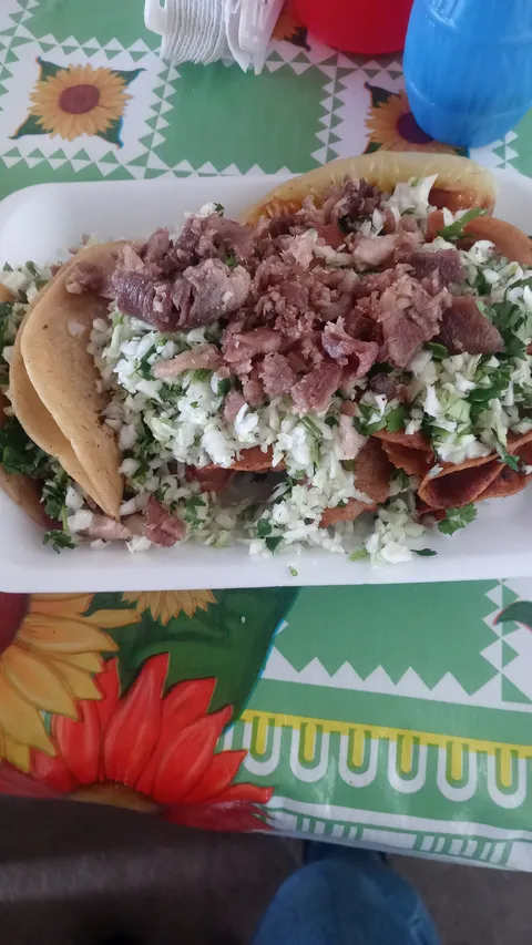 Tacos Doña Mari Los Yañez image 1